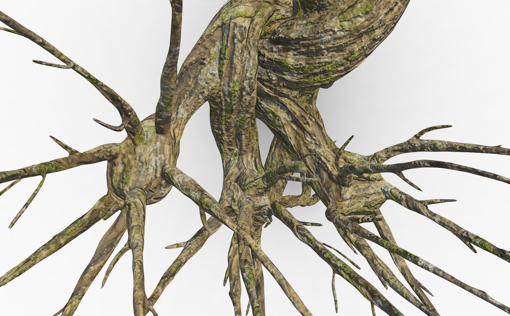 Whomping Willow 3D model_13