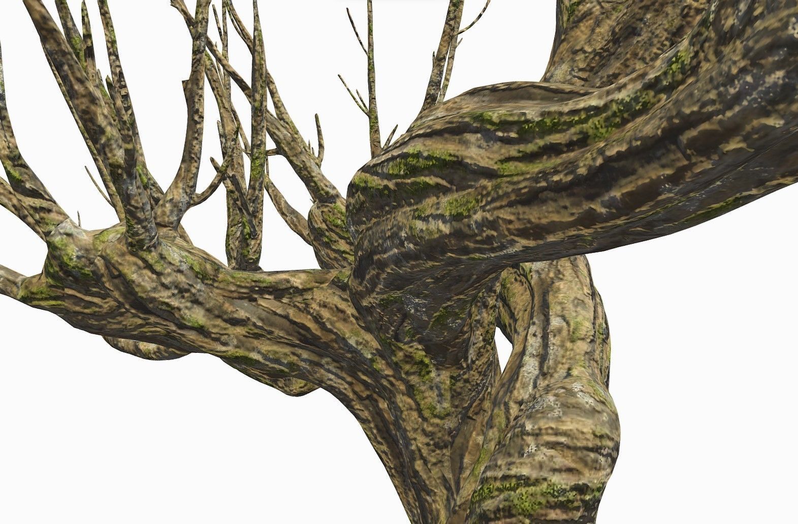 Whomping Willow 3D model_12