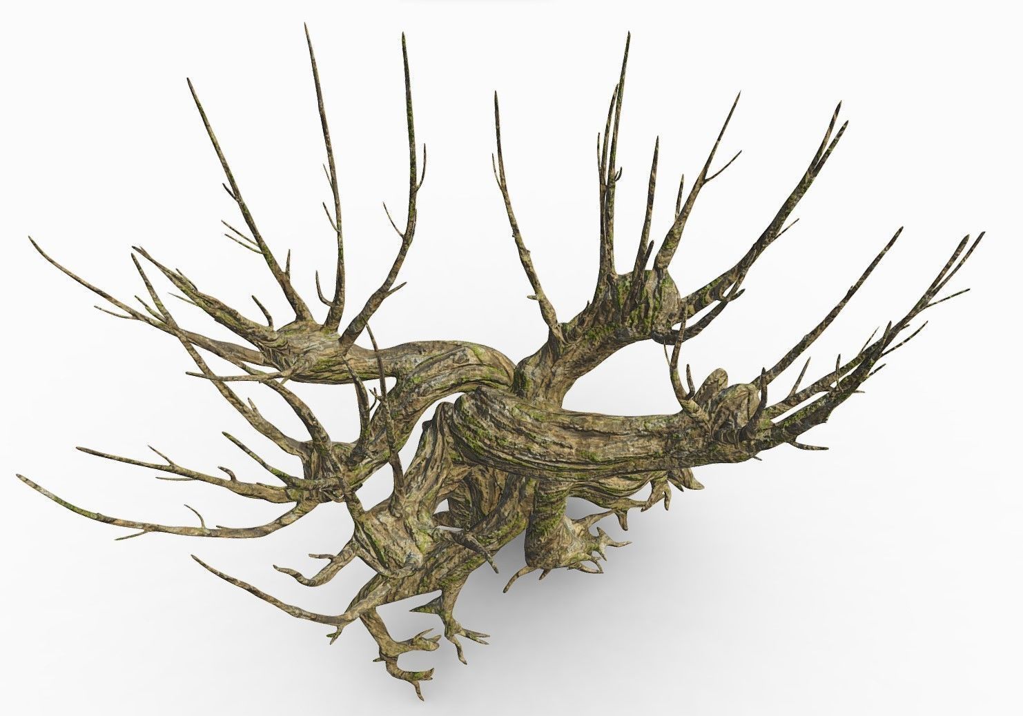 Whomping Willow 3D model_2