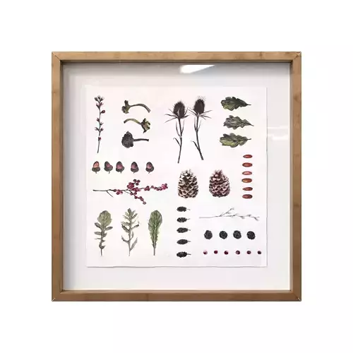 Picture Frame - Midst Of Winter