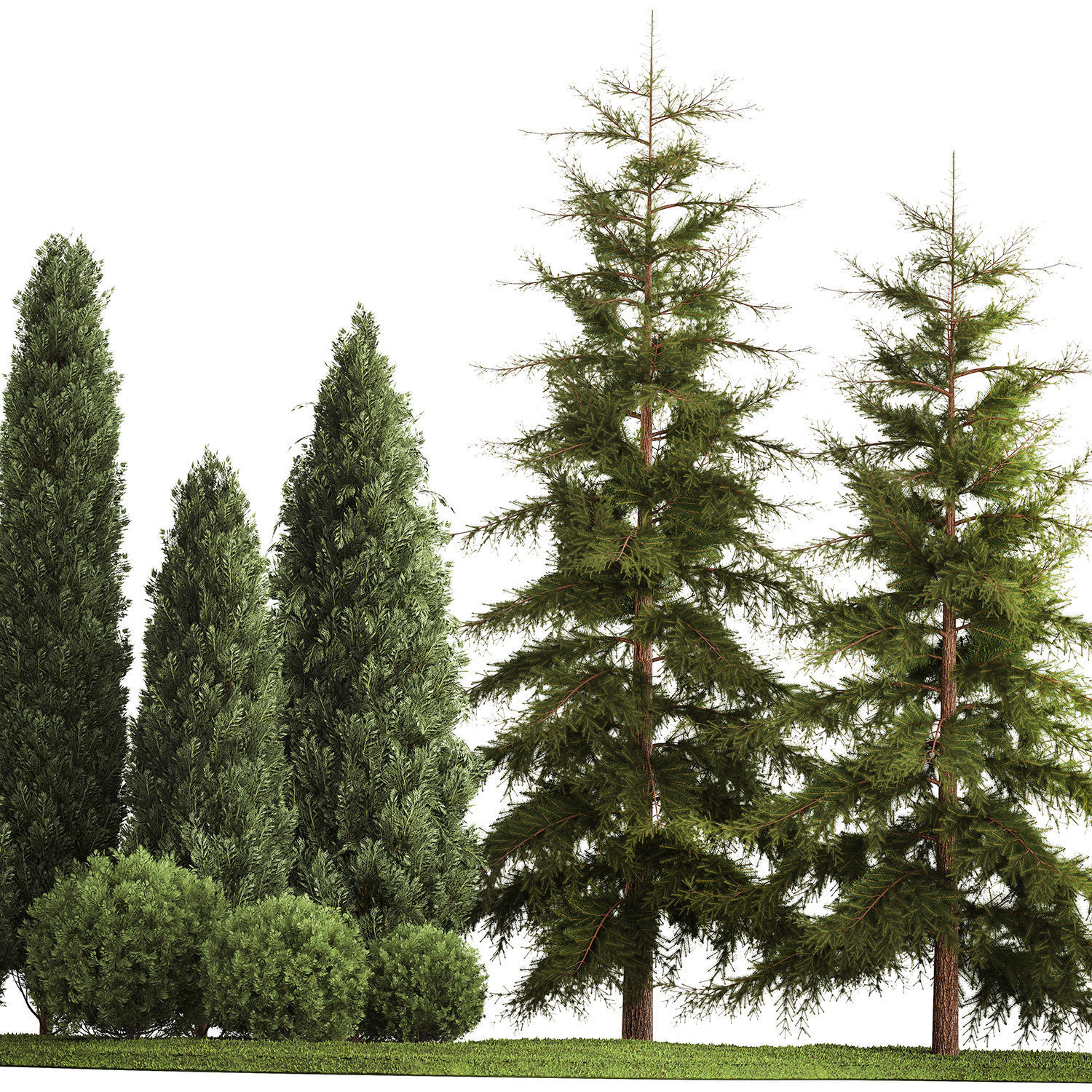 Garden of thuja and cypress trees with bushes 1155 3D model_2