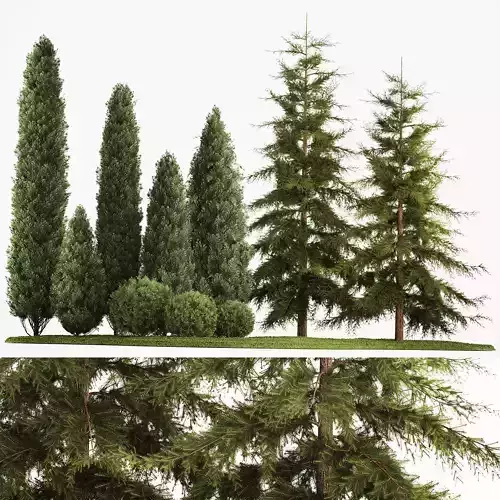 Garden of thuja and cypress trees with bushes 1155 3D model