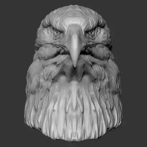 Eagle head