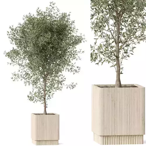 Plants collection 861 3D model