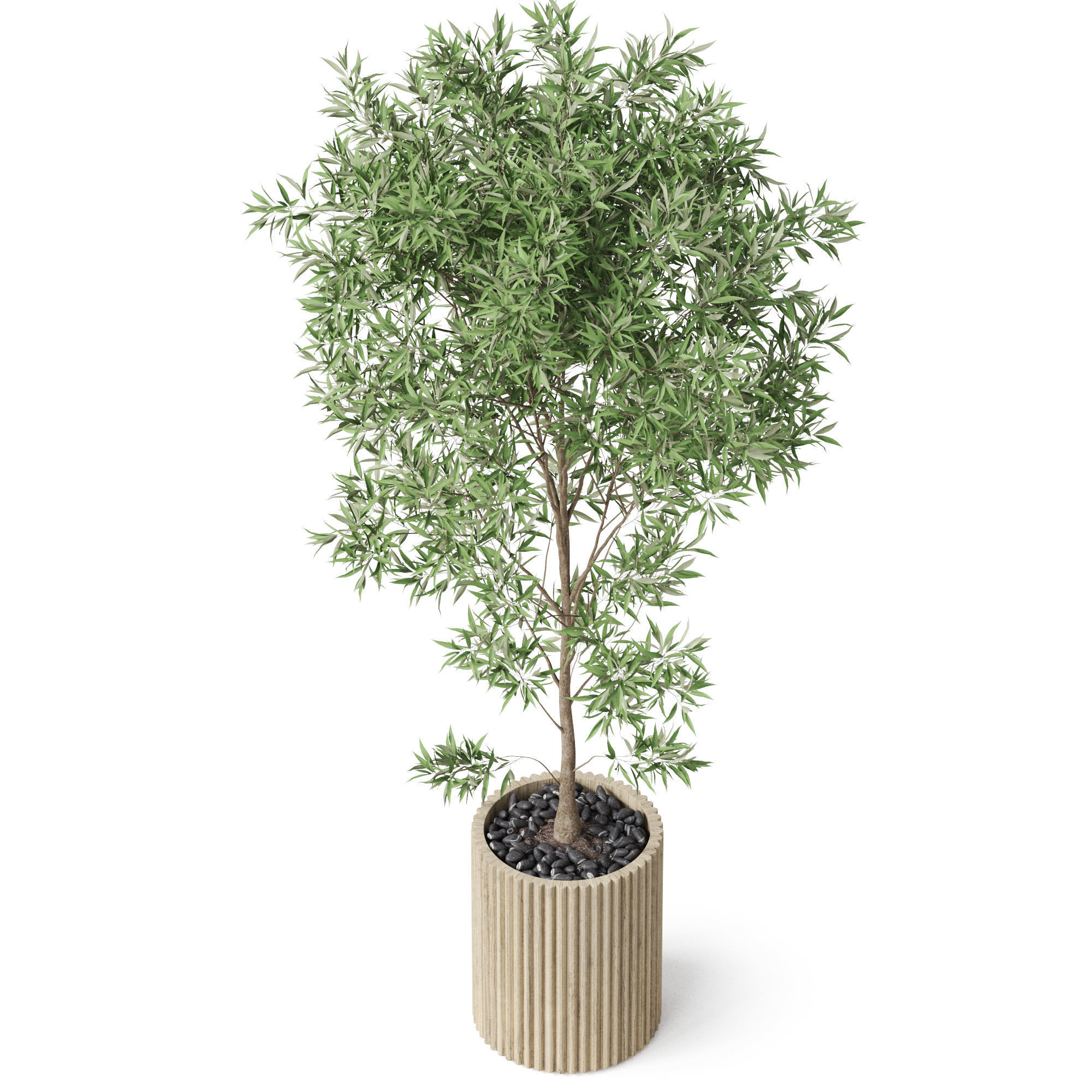 Plants collection 862 3D model_3