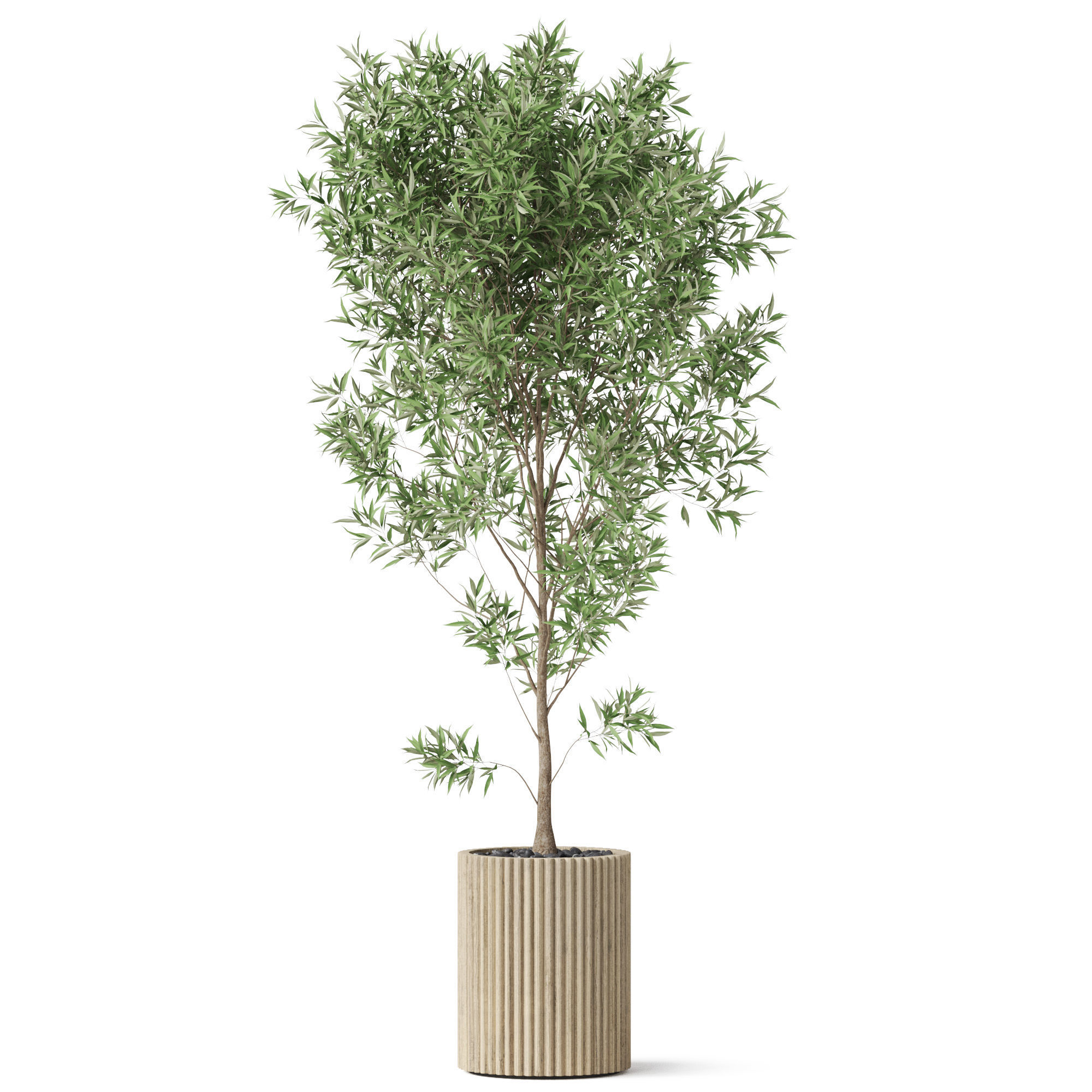 Plants collection 862 3D model_1