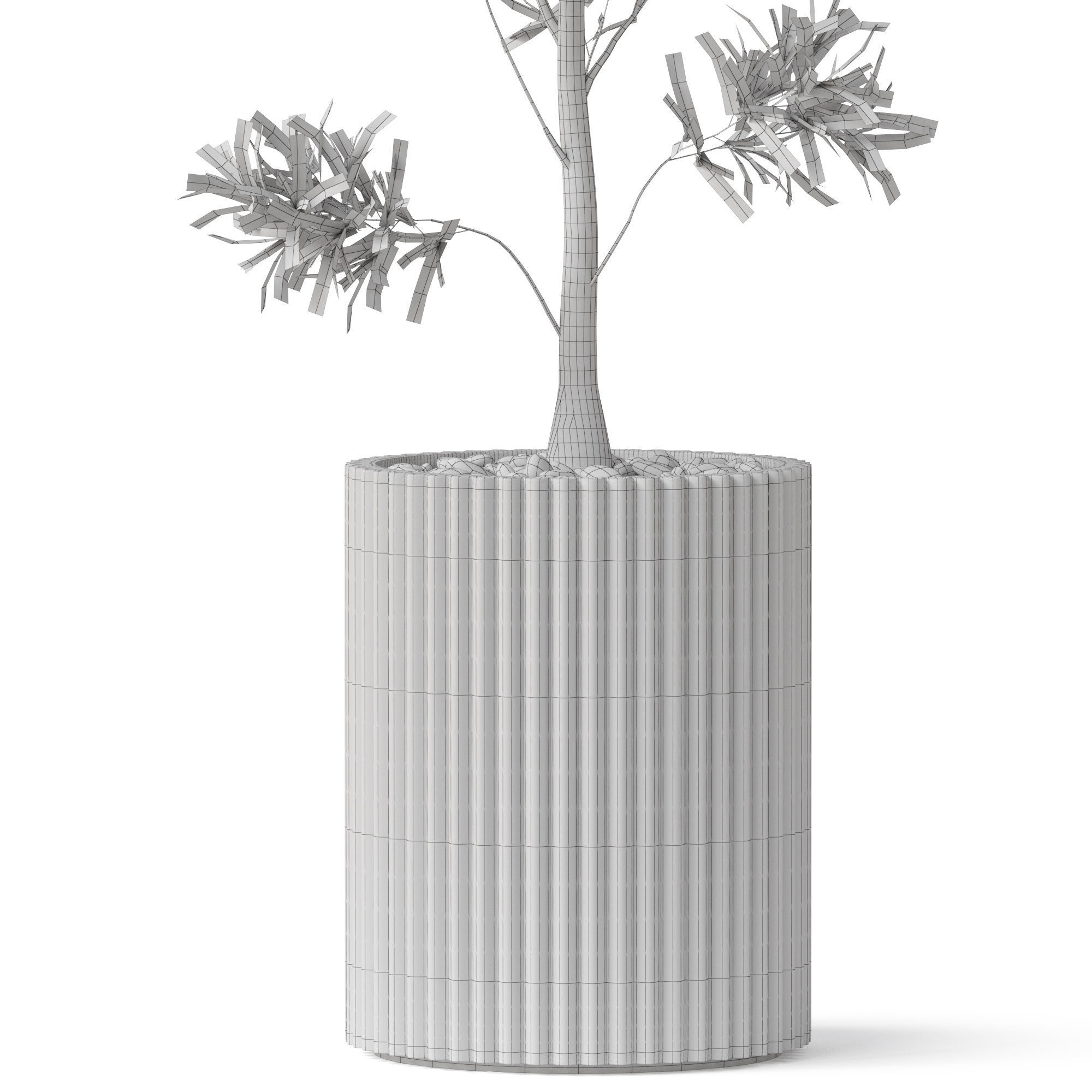 Plants collection 862 3D model_5