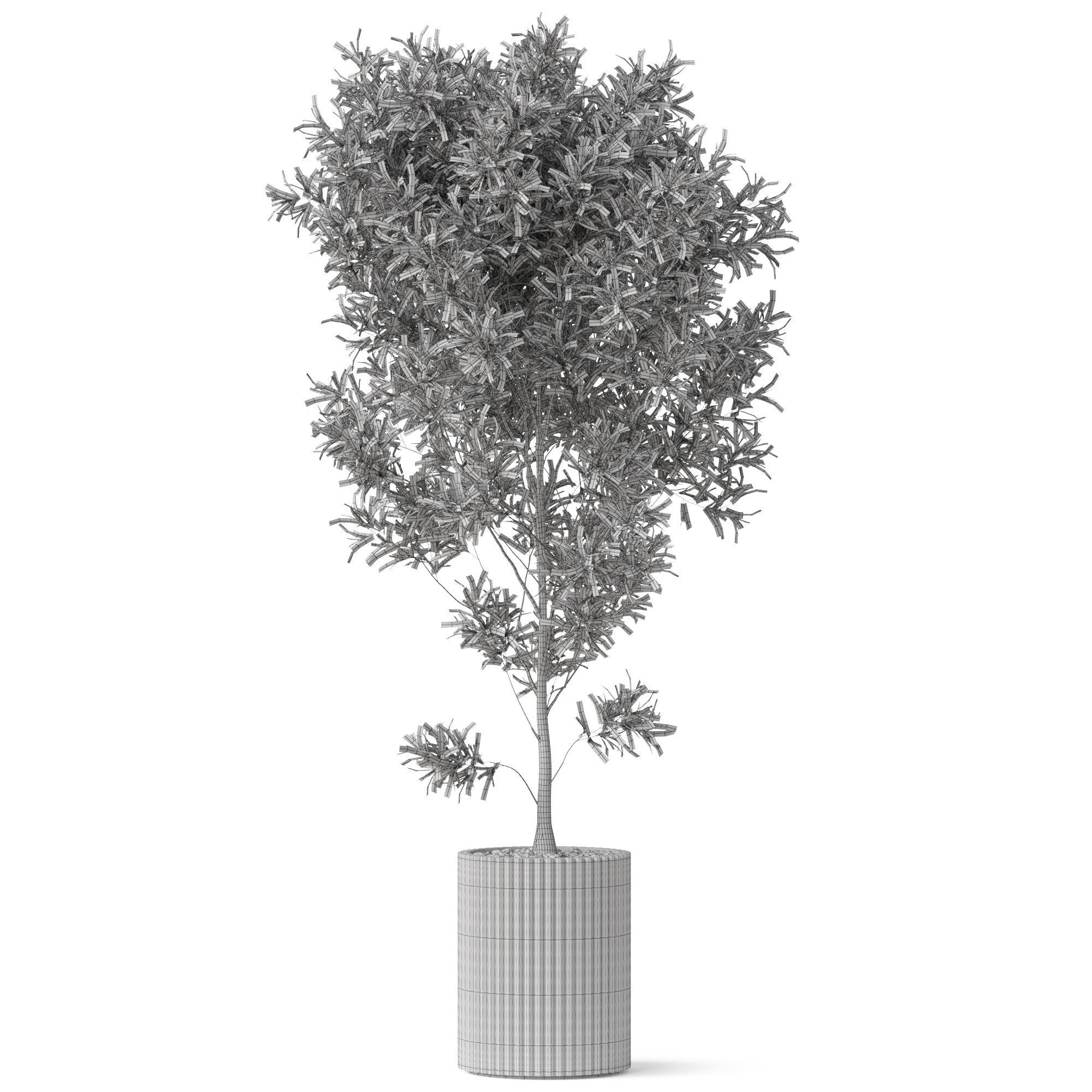 Plants collection 862 3D model_4