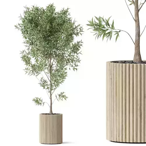 Plants collection 862 3D model