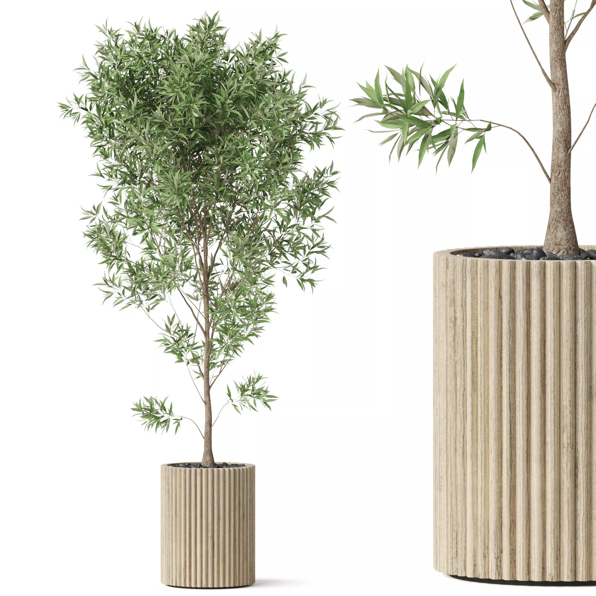 Plants collection 862 3D model_0