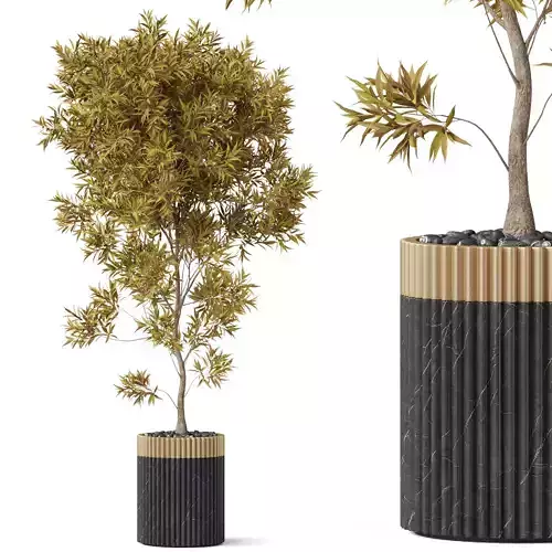 Plants collection 863 3D model