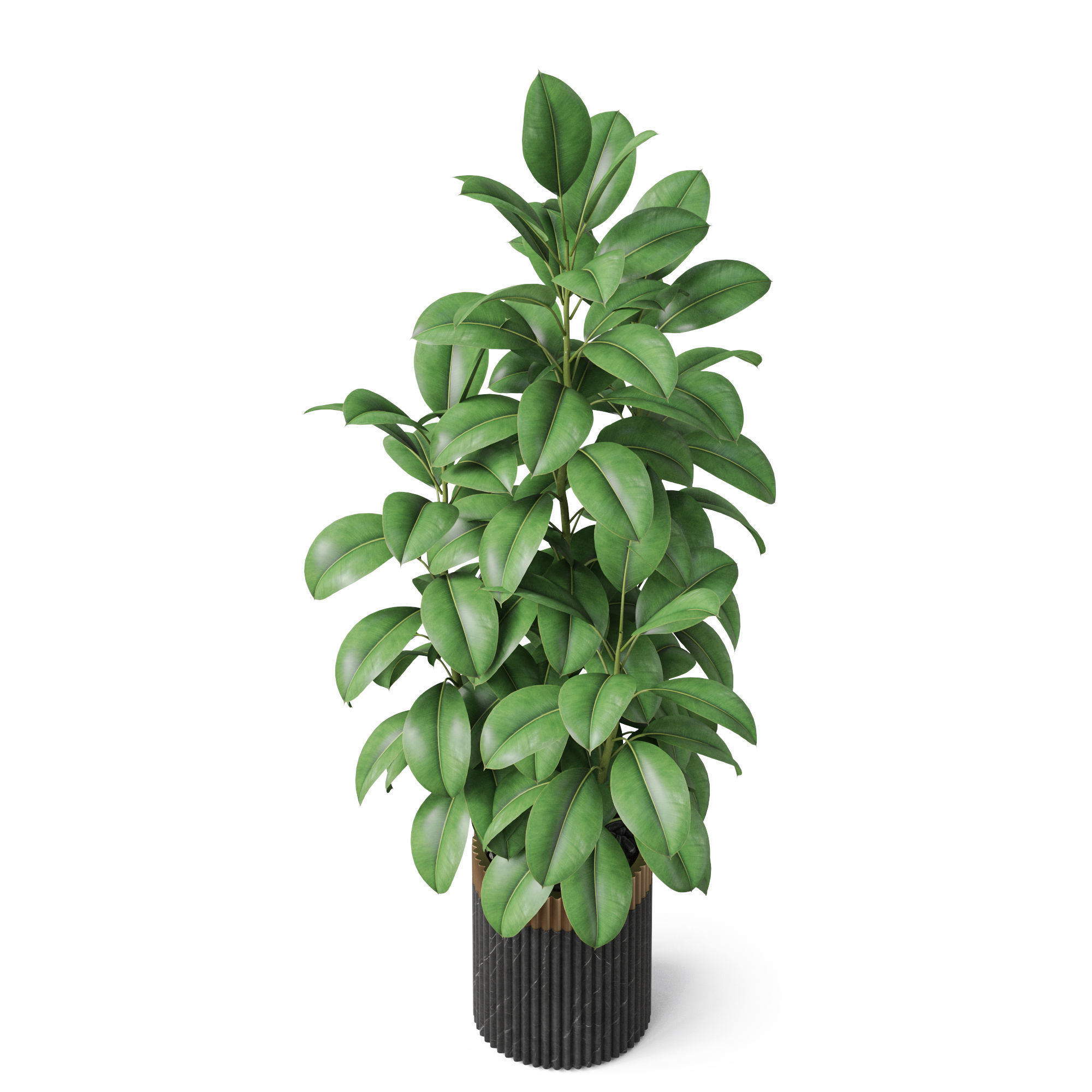 Plants collection 864 3D model_3