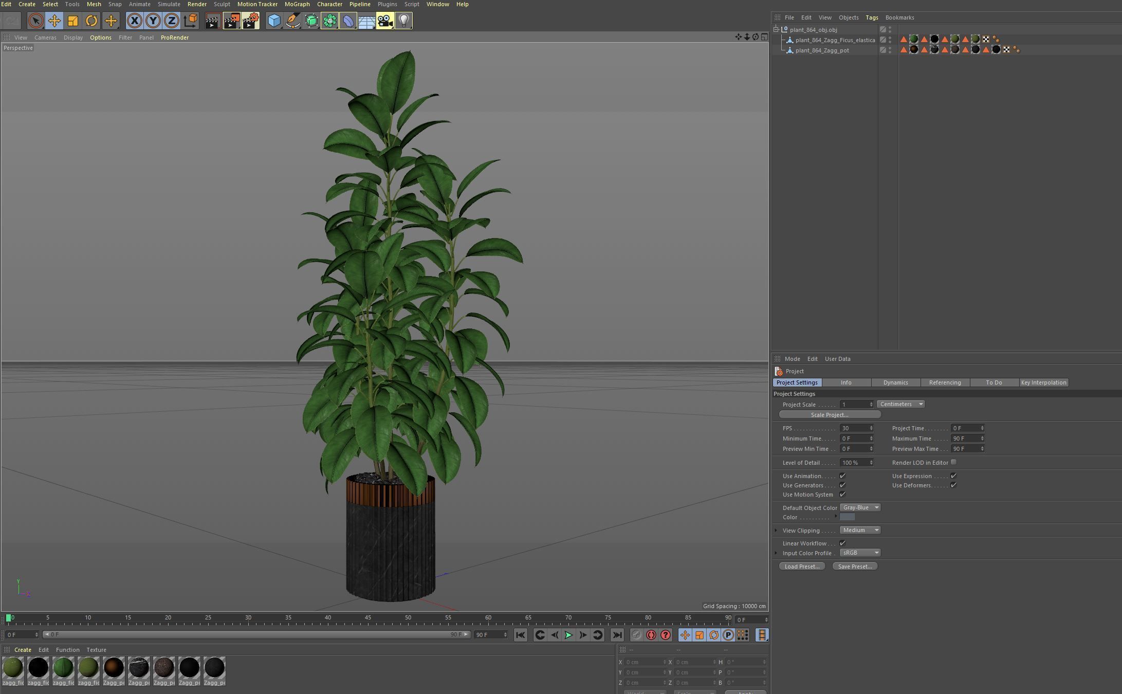 Plants collection 864 3D model_7