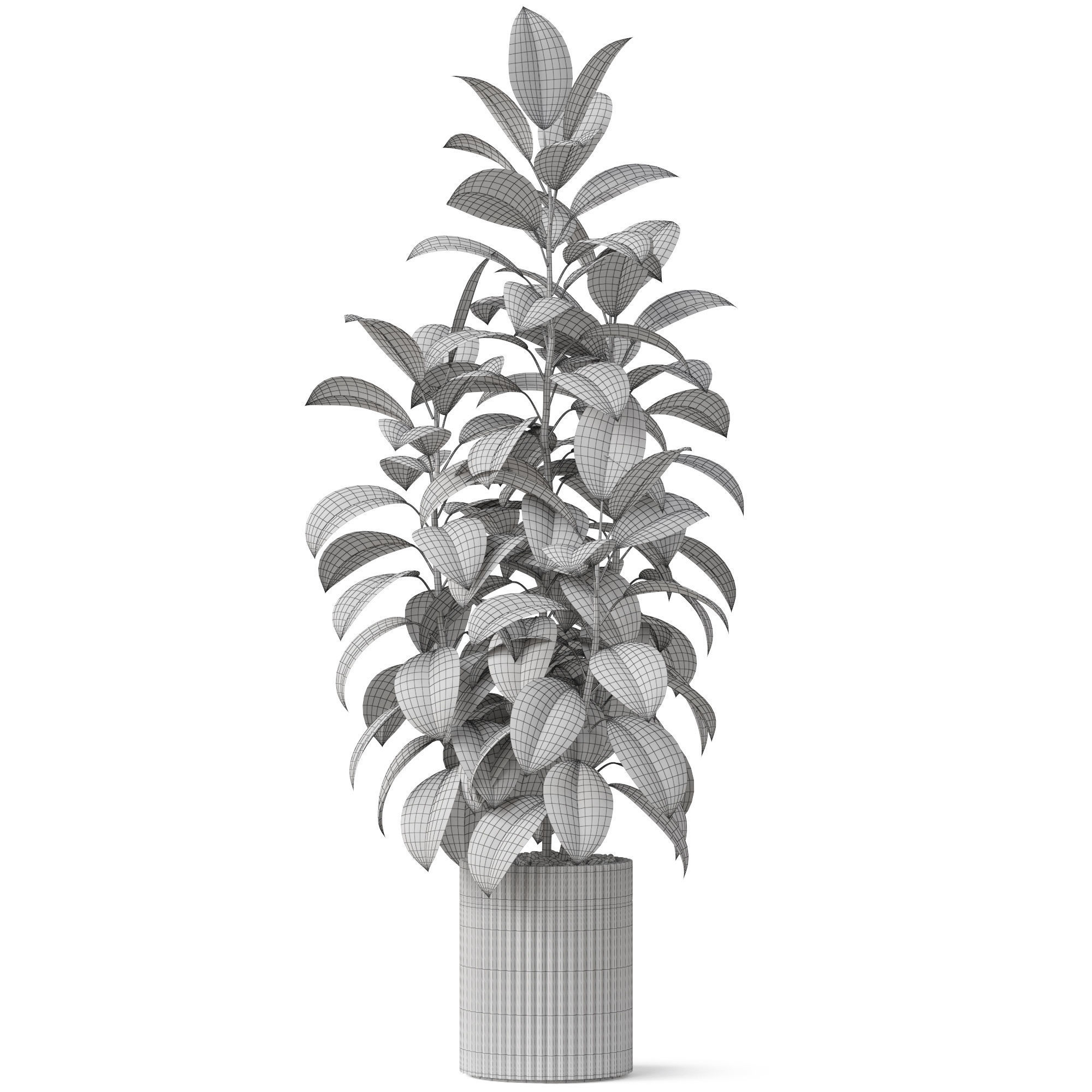 Plants collection 864 3D model_4