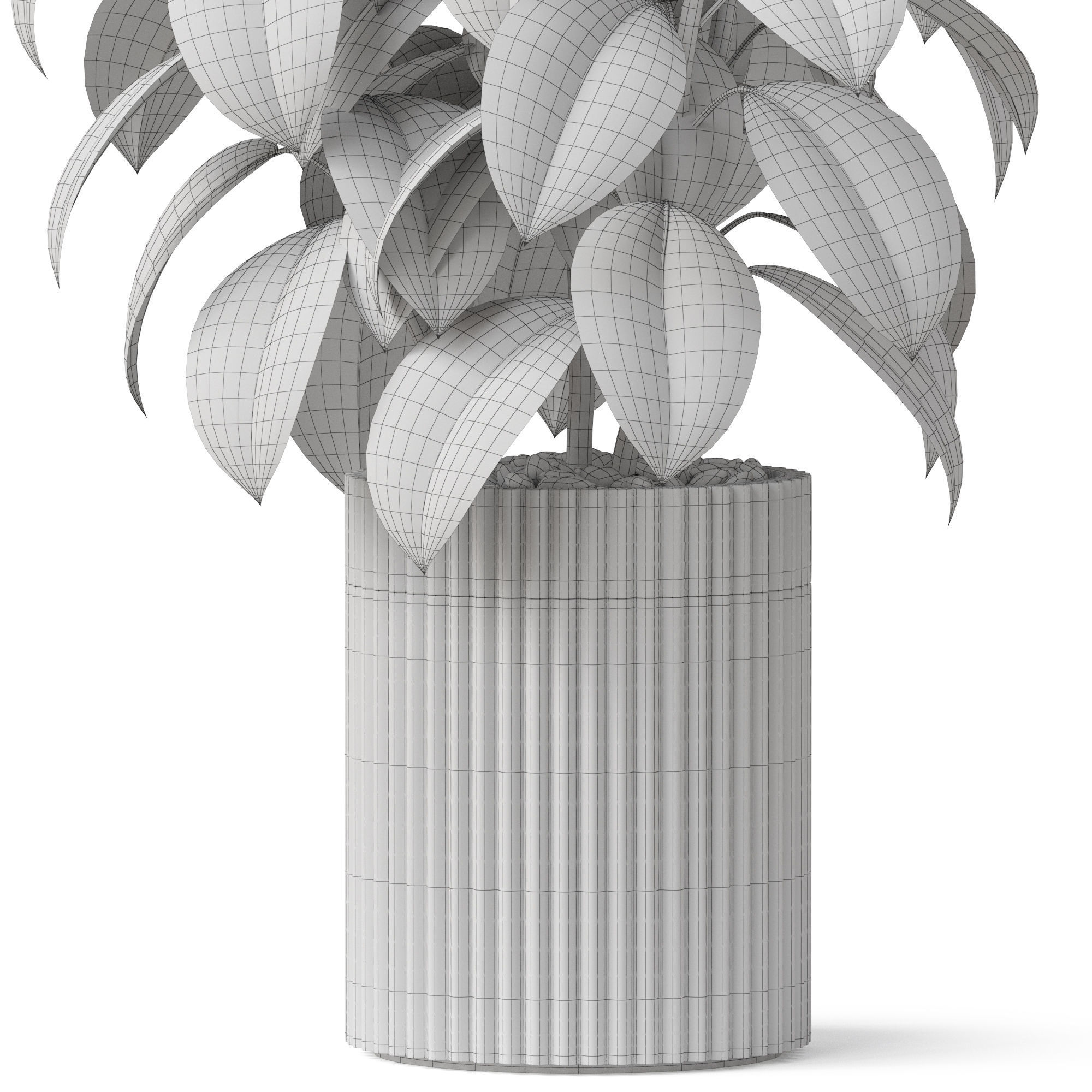 Plants collection 864 3D model_5