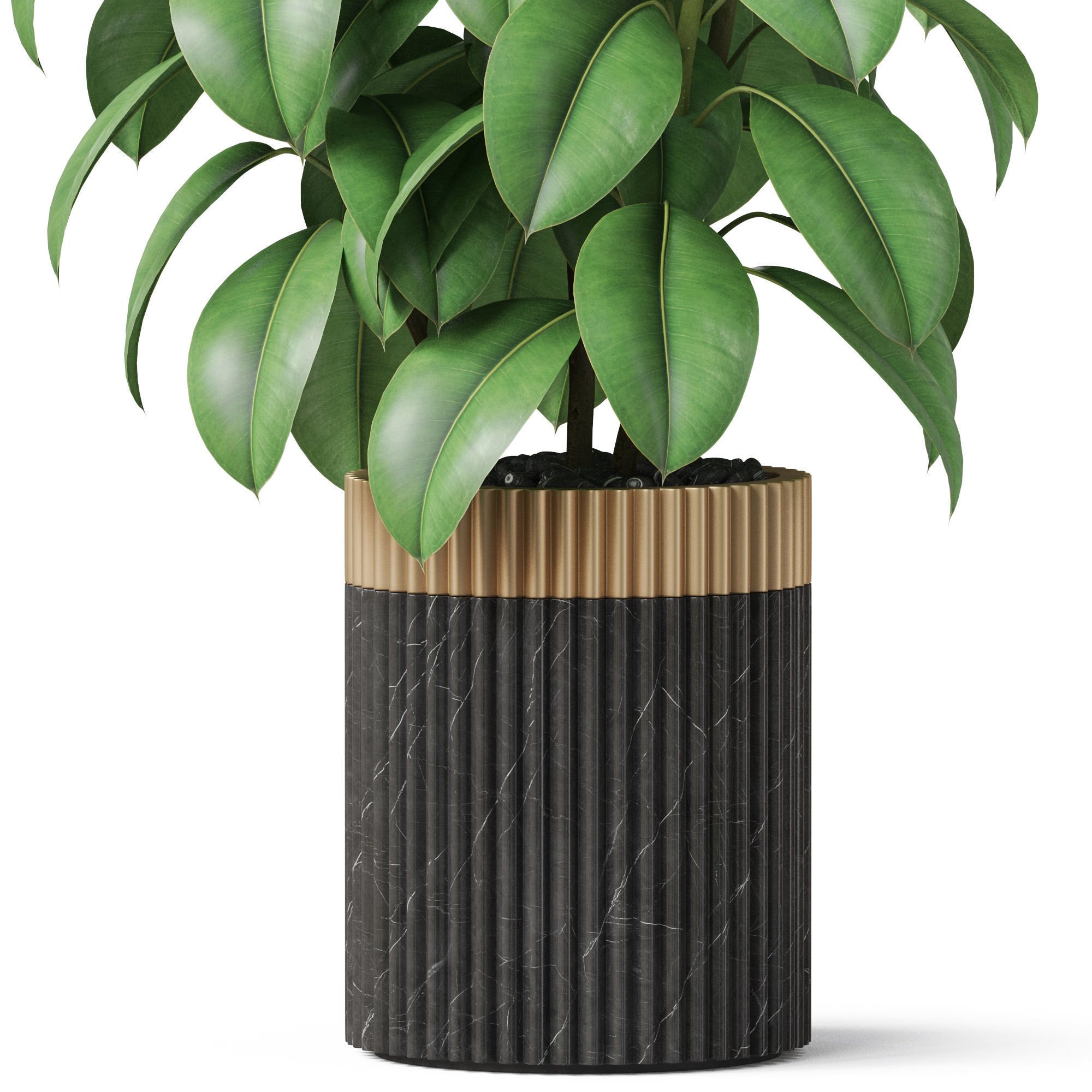 Plants collection 864 3D model_2
