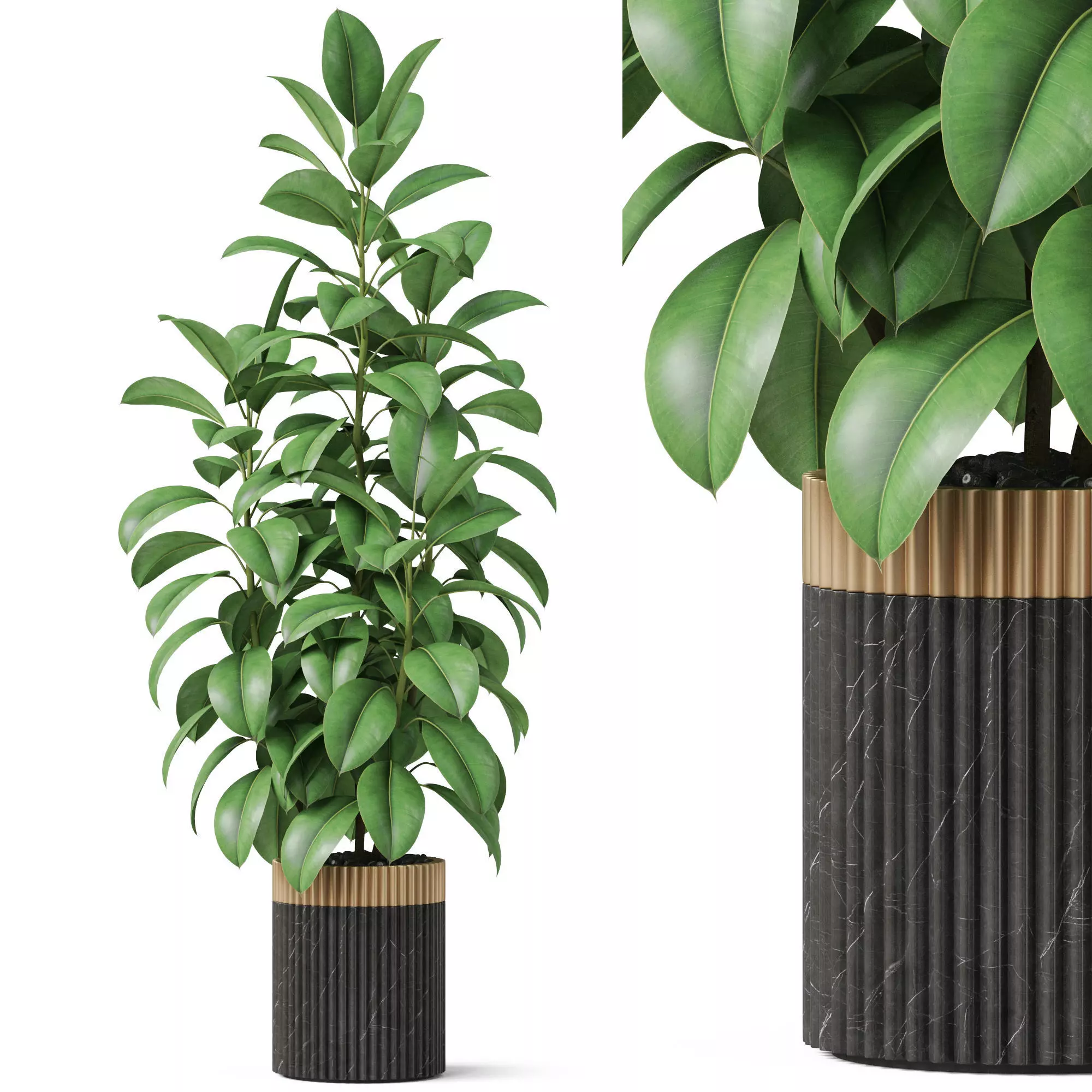 Plants collection 864 3D model_0