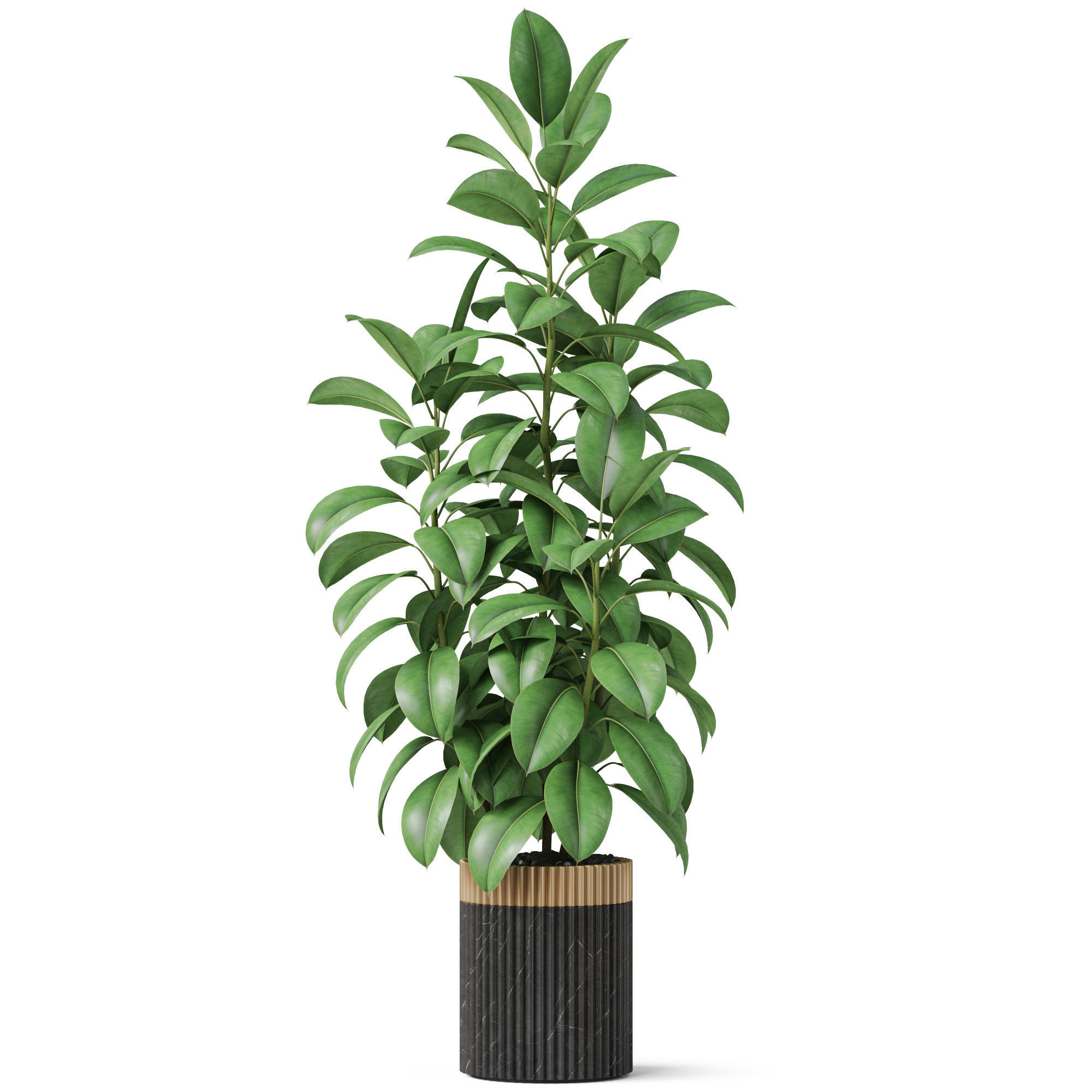 Plants collection 864 3D model_1