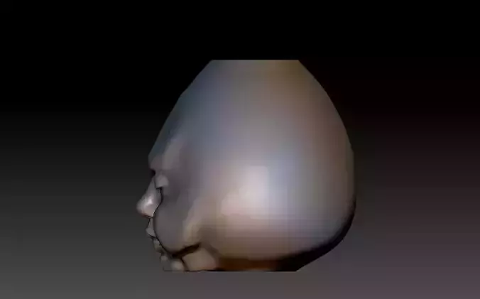 face-vase 2 human head 3D print model