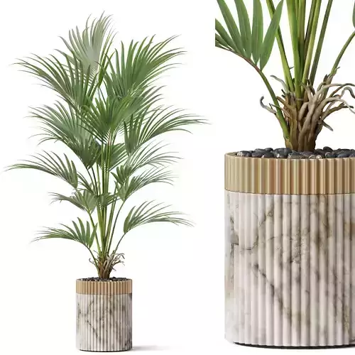 Plants collection 865 3D model