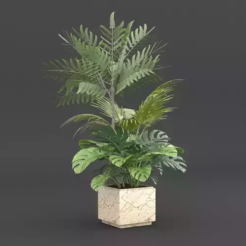 Indoor Plants Set 02