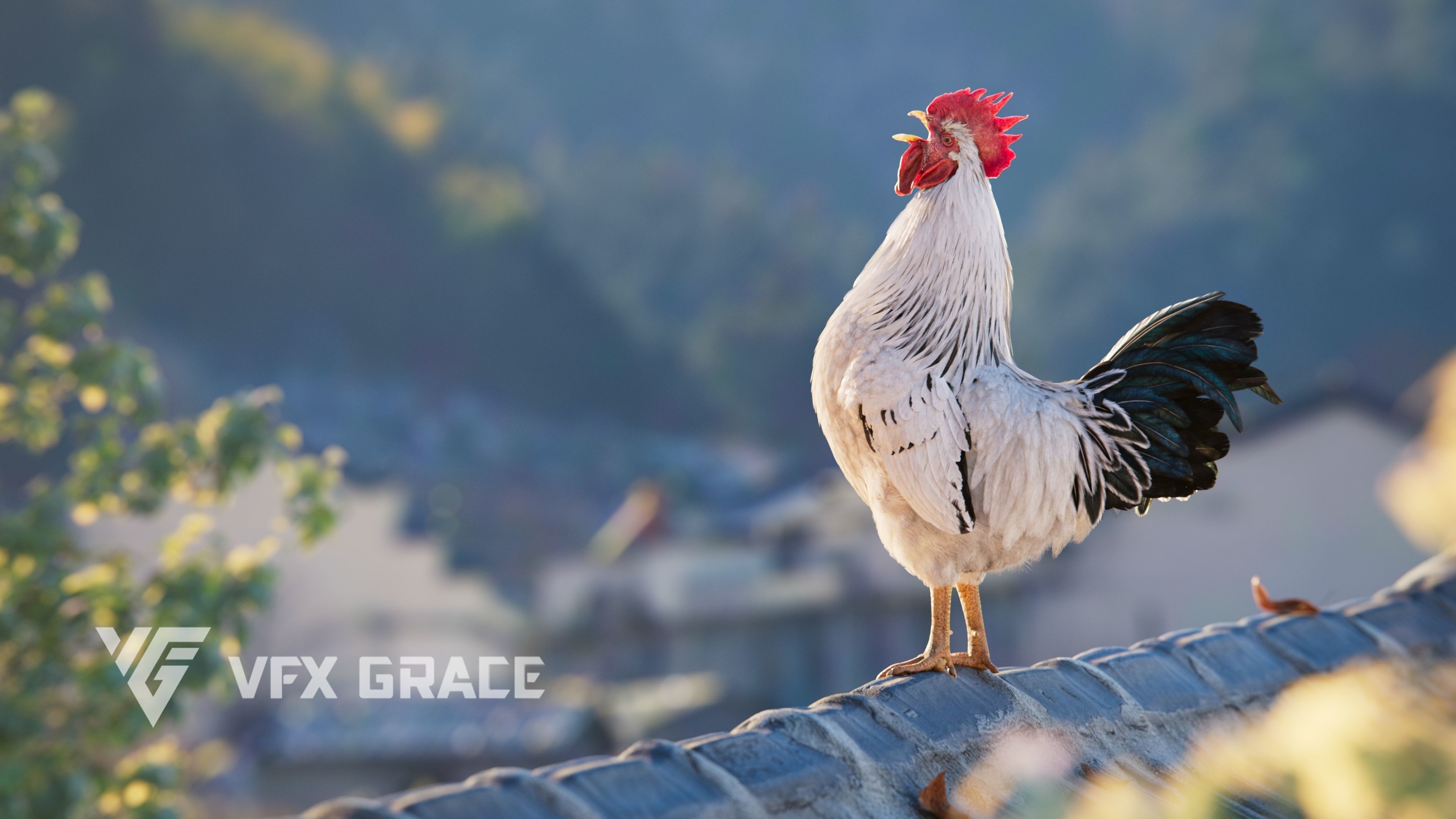 White Chicken Animated VFX Grace 3D model_6