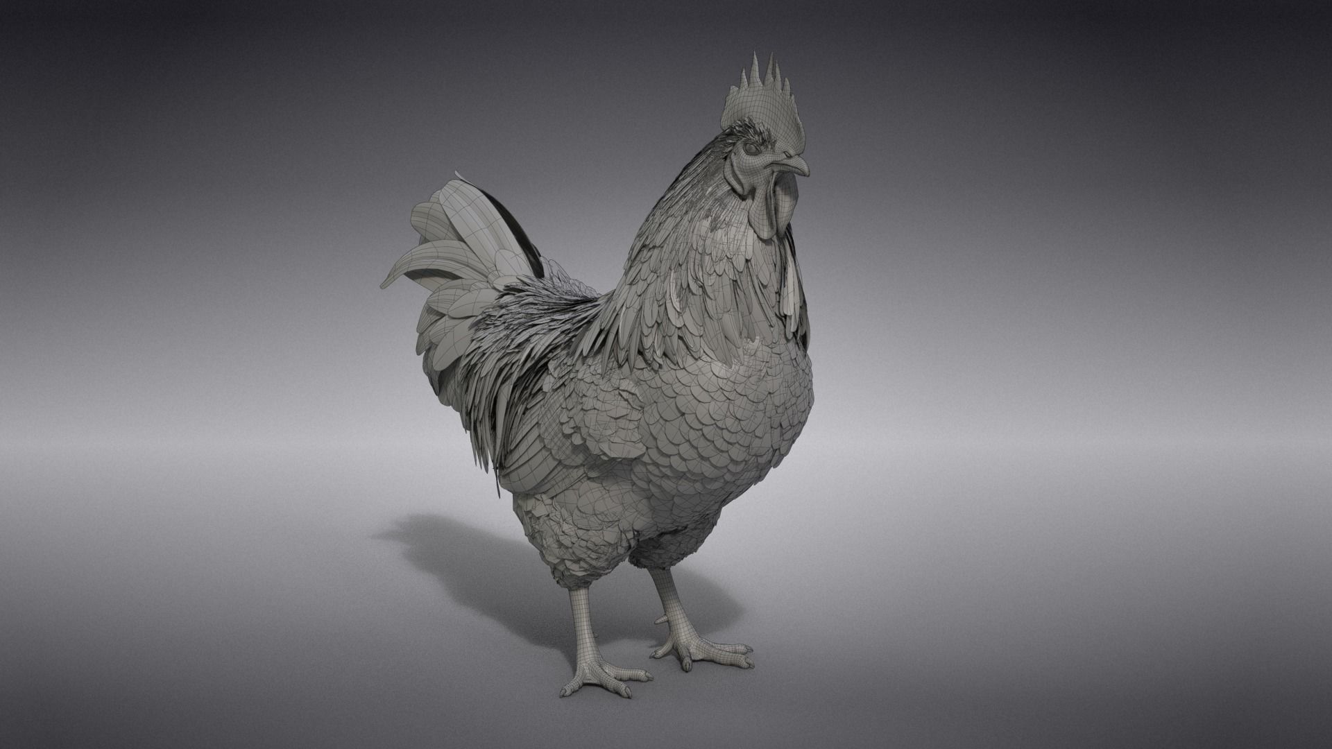 White Chicken Animated VFX Grace 3D model_53