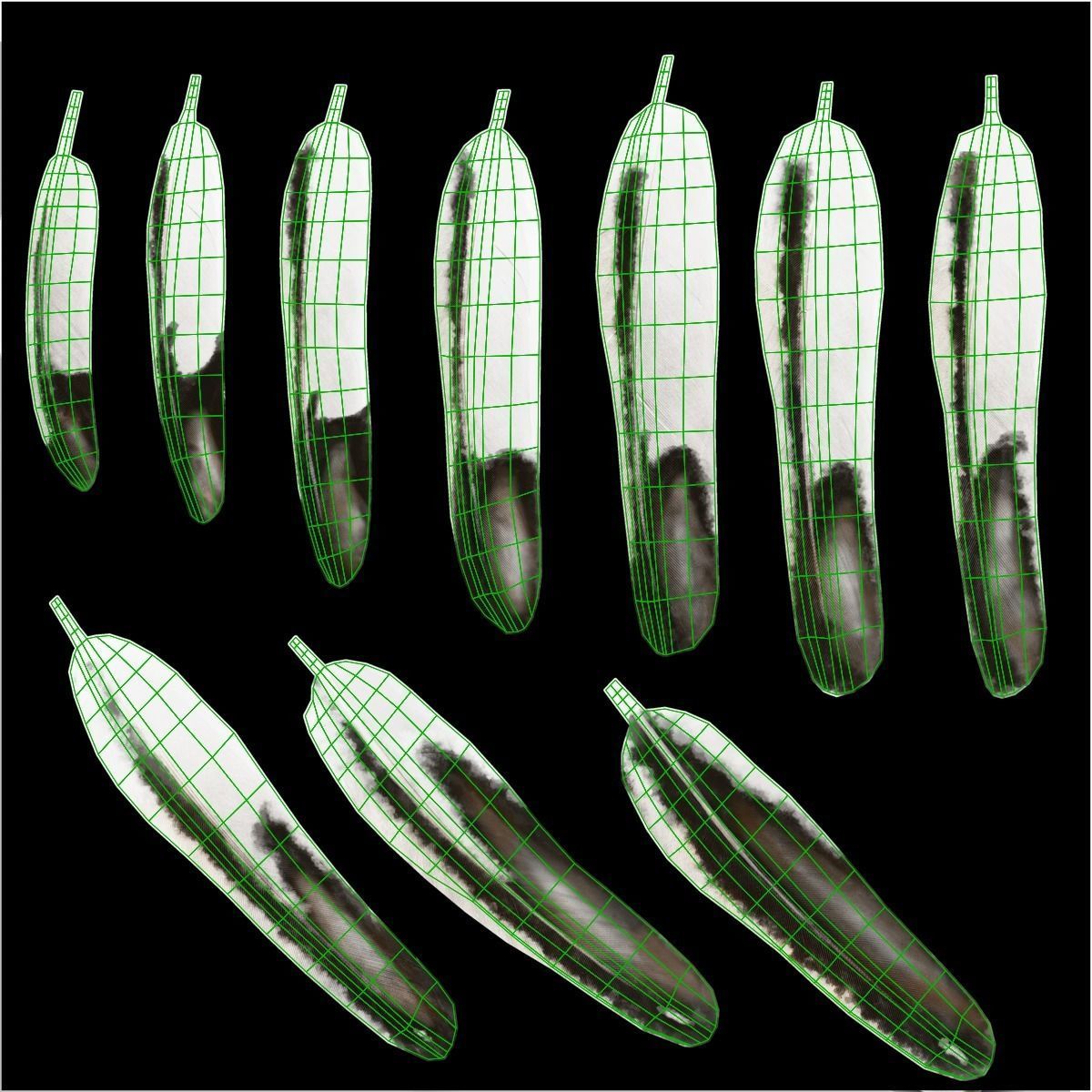 White Chicken Animated VFX Grace 3D model_45