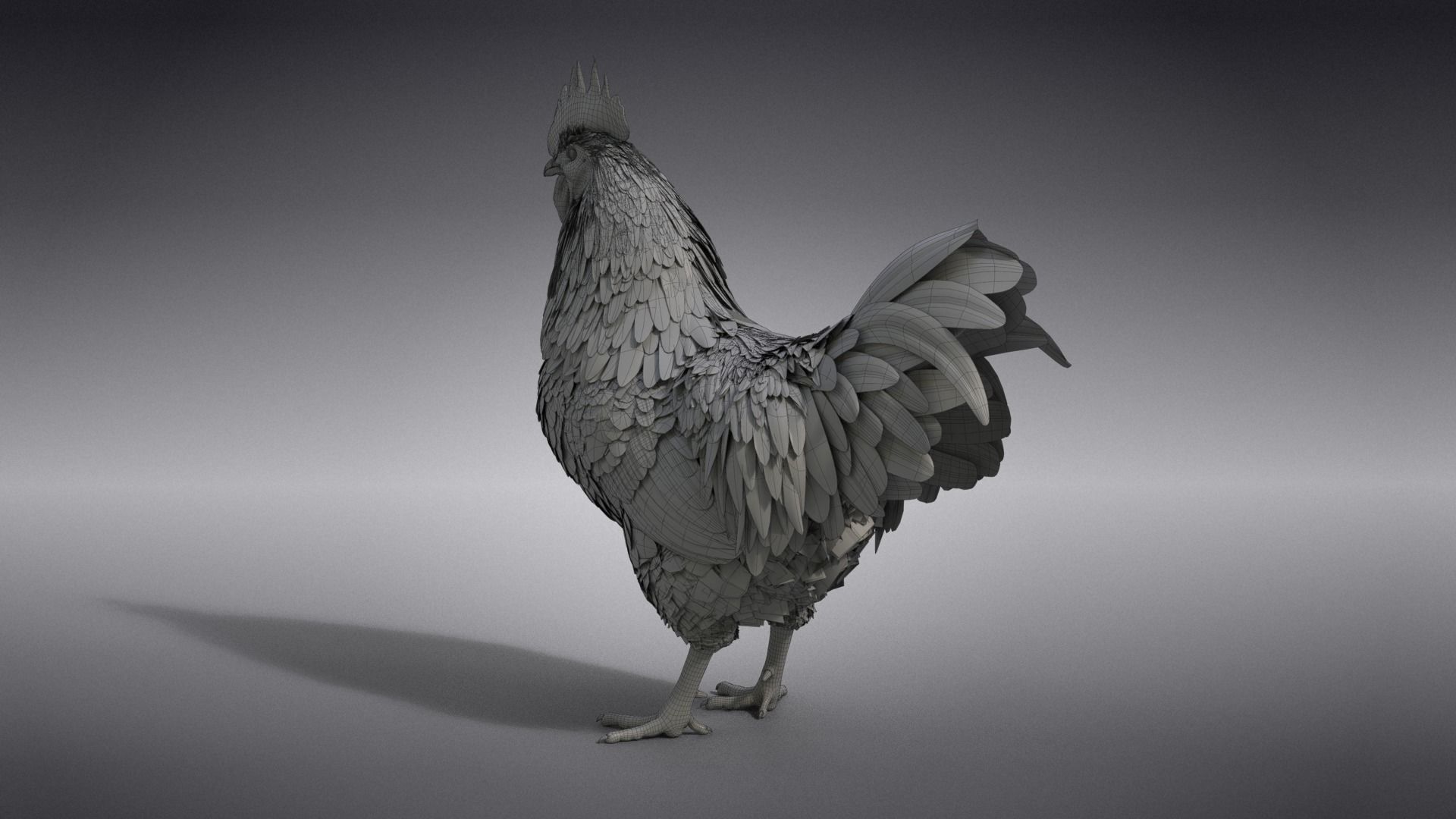 White Chicken Animated VFX Grace 3D model_52
