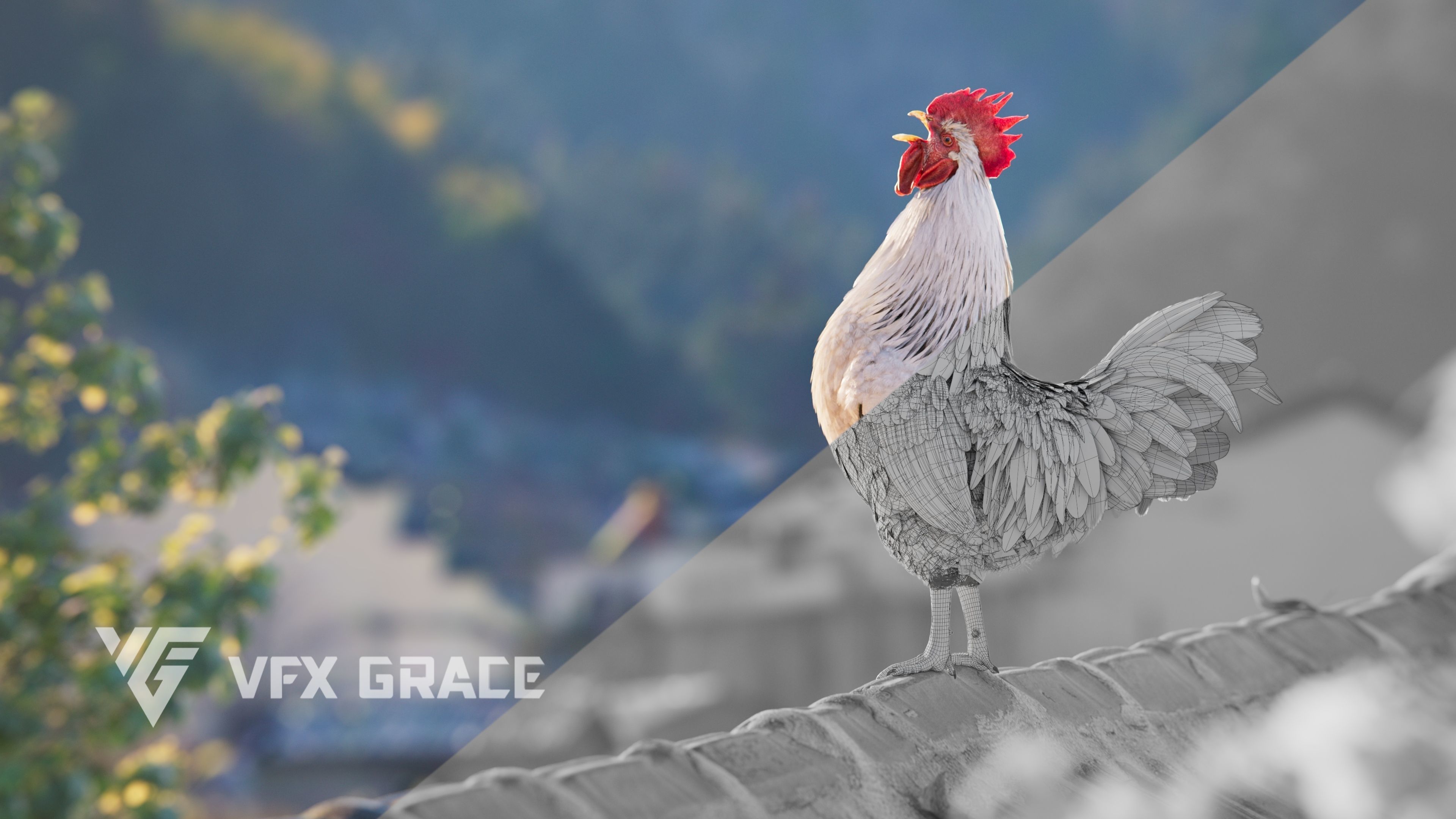 White Chicken Animated VFX Grace 3D model_7