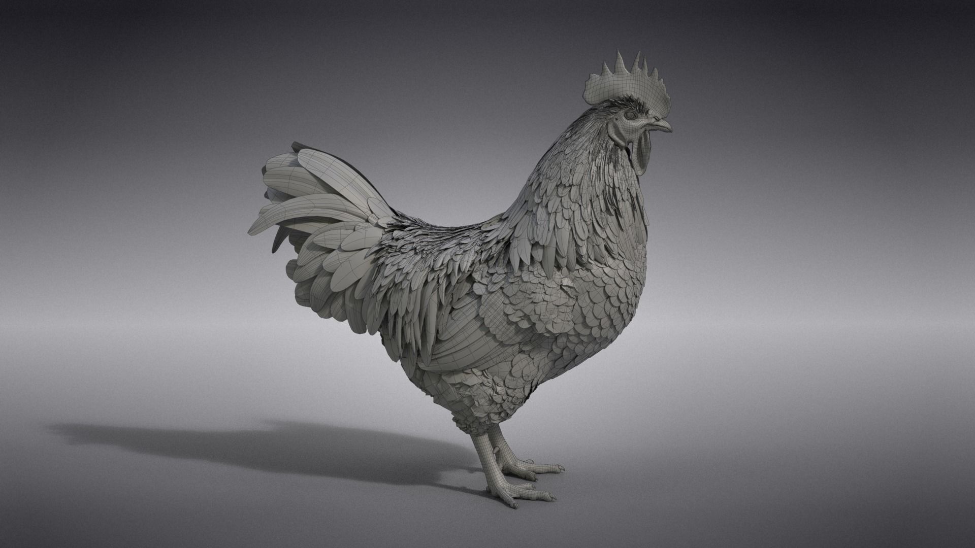 White Chicken Animated VFX Grace 3D model_51