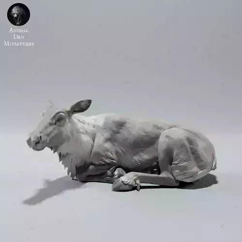 Red Deer - Caribou Female