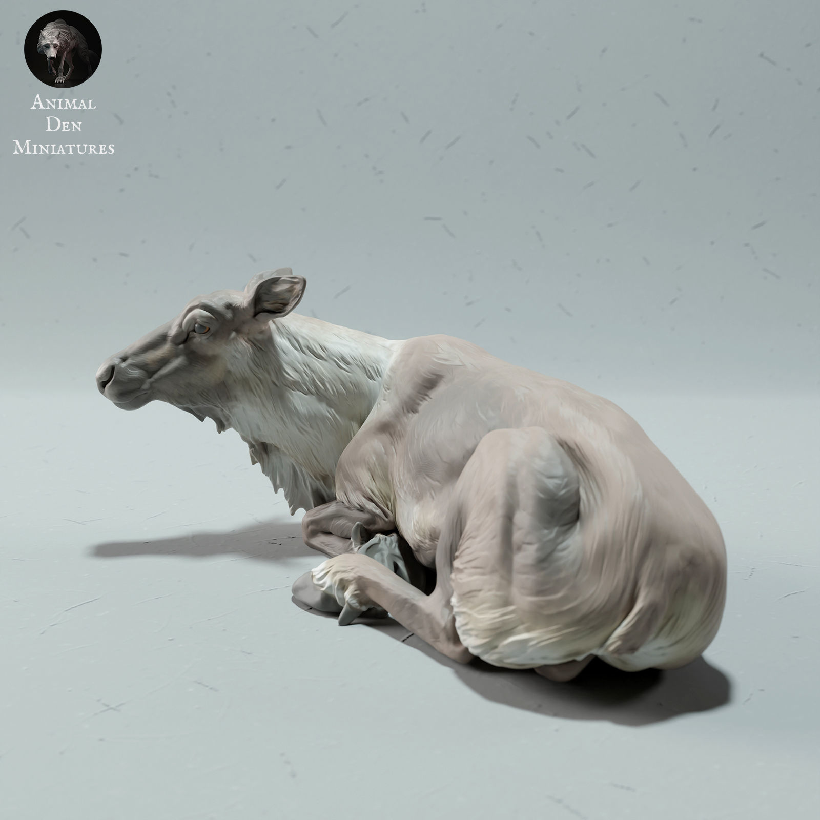 Red Deer - Caribou Female 3D print model_3