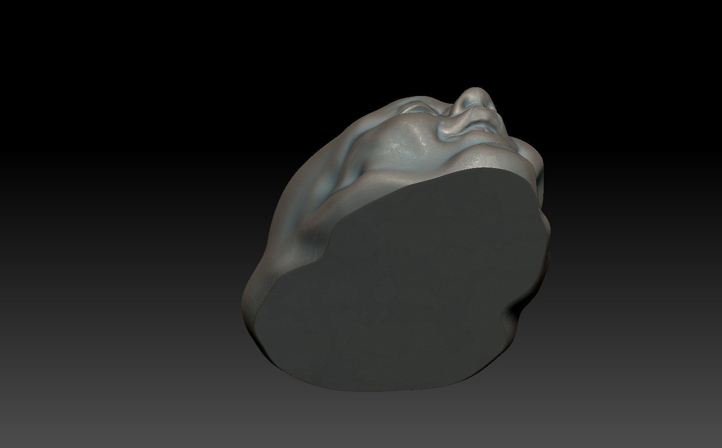 FACE-VASE silver skull 3D print model_7
