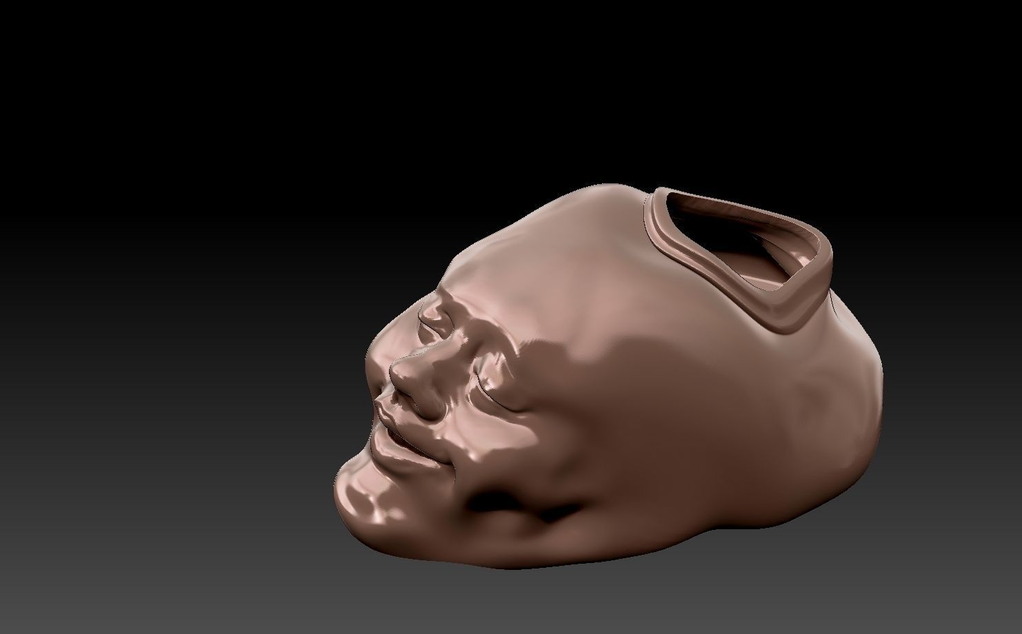 FACE-VASE silver skull 3D print model_1