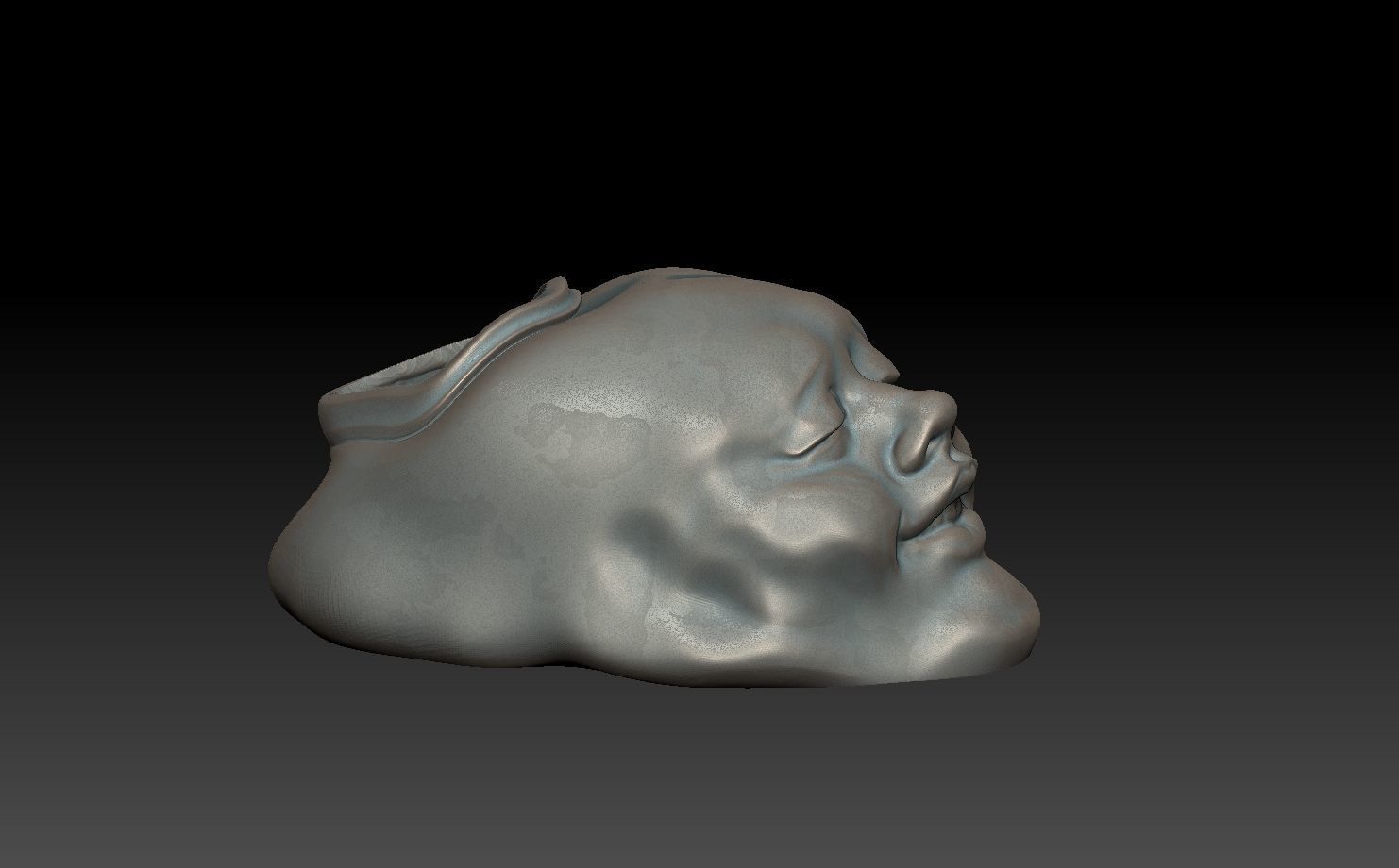 FACE-VASE silver skull 3D print model_2