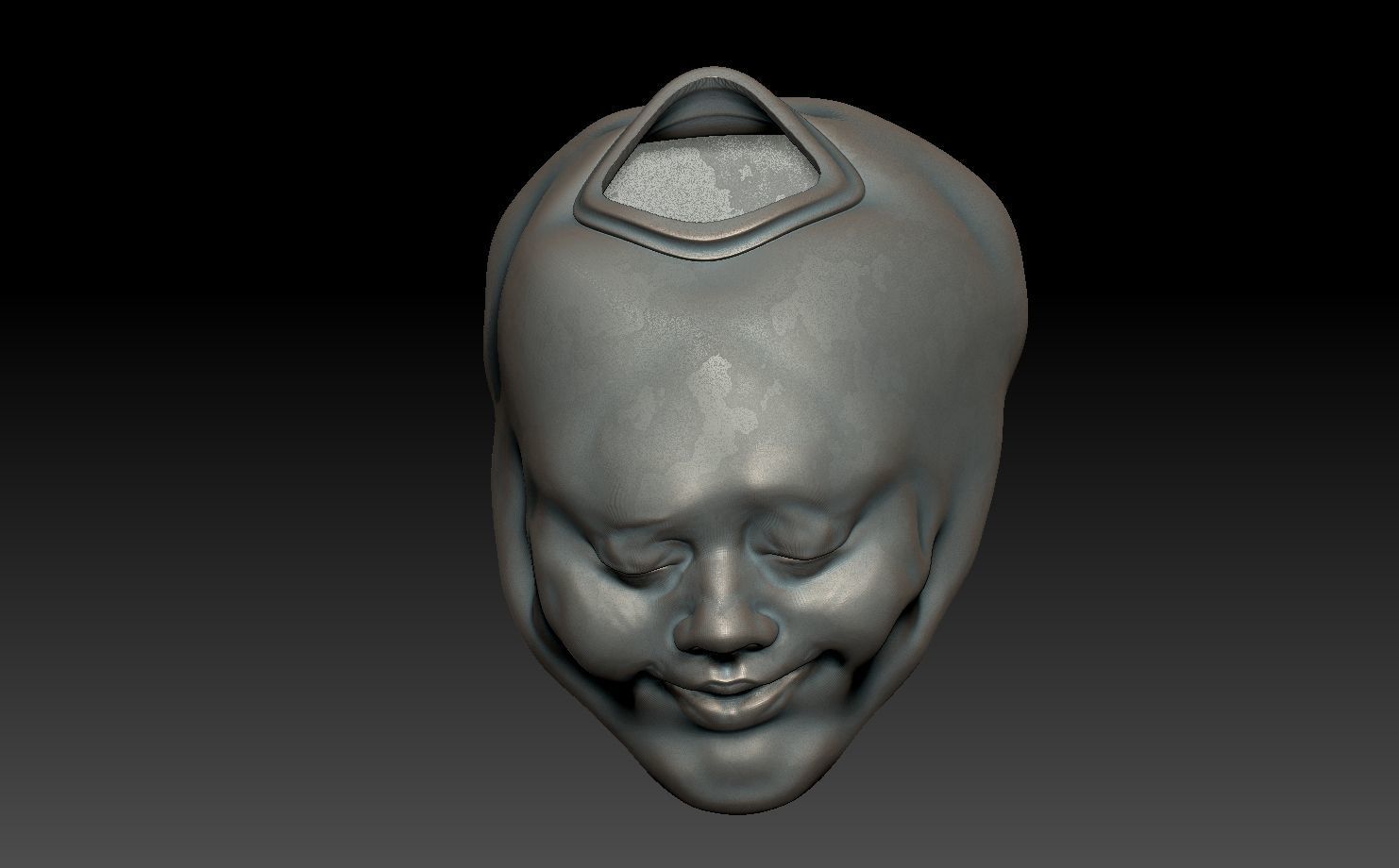 FACE-VASE silver skull 3D print model_6
