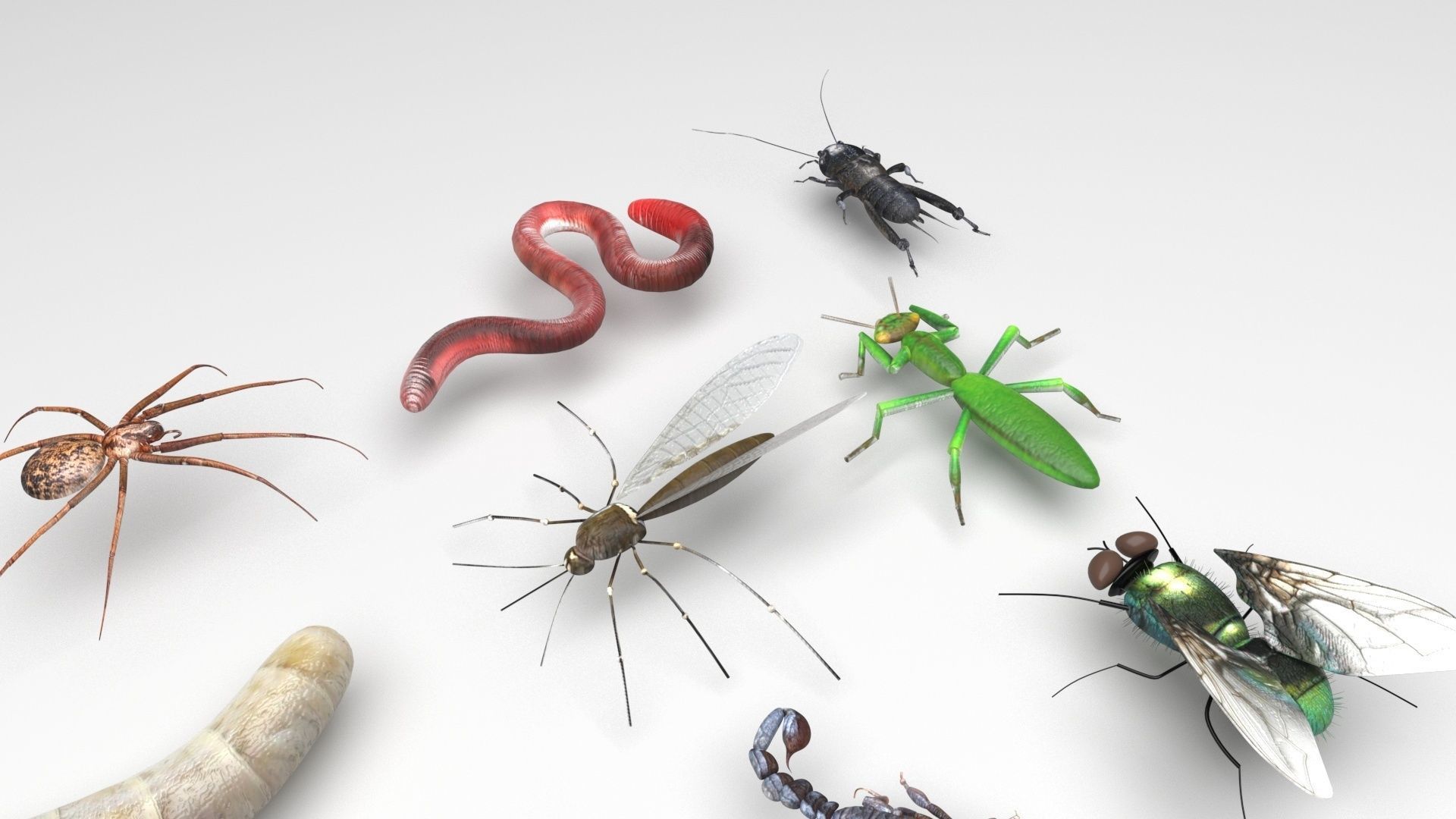 Worms Set 3D model_1