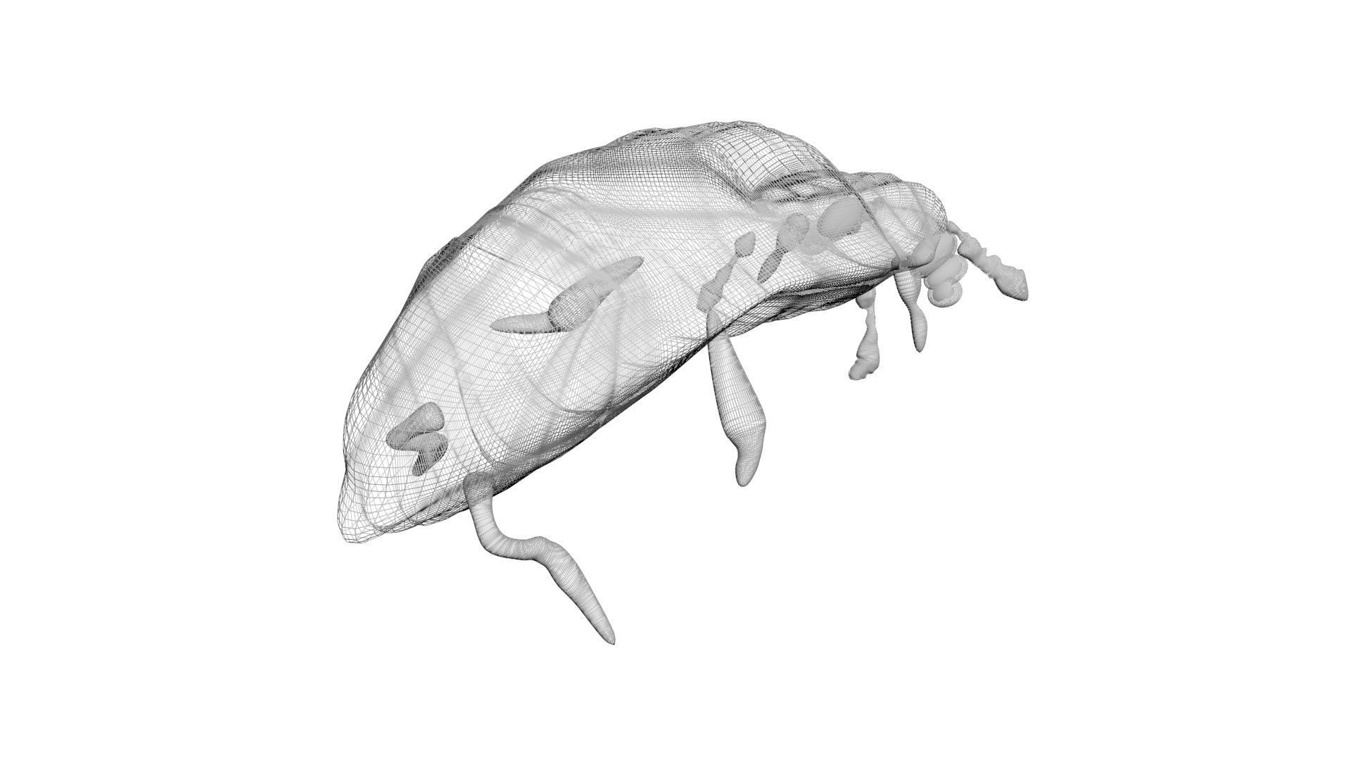 Worms Set 3D model_20