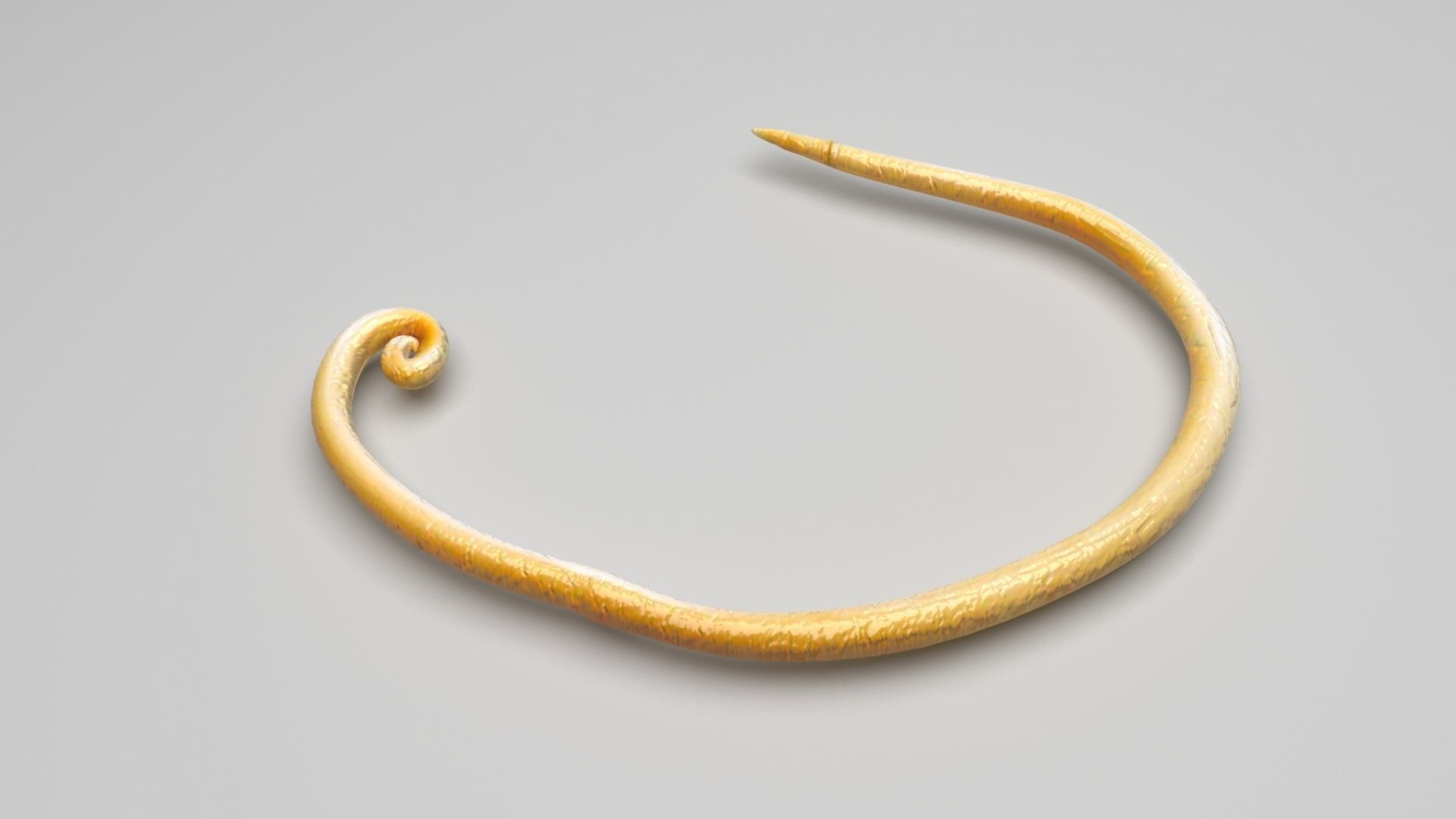 Worms Set 3D model_27