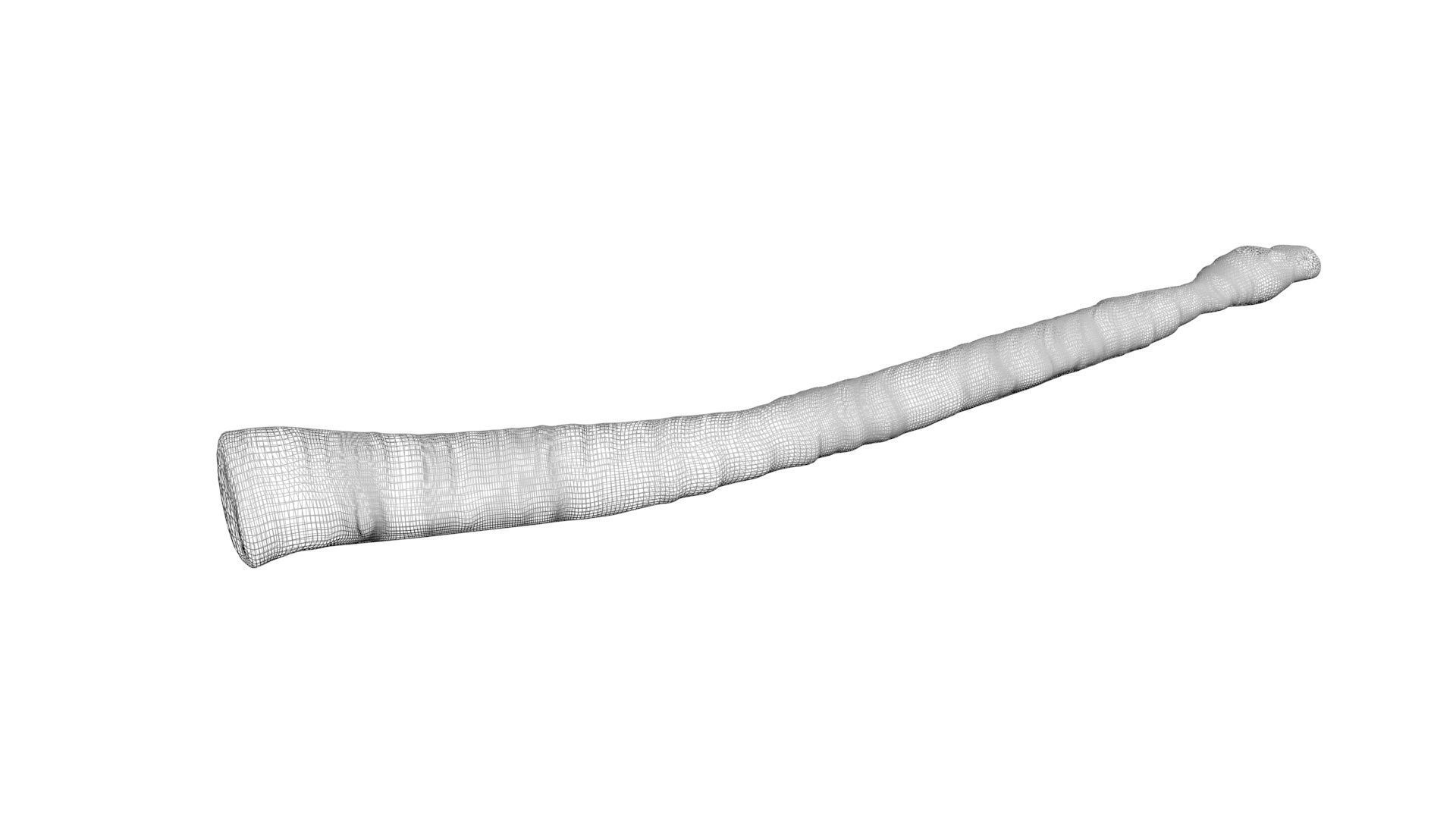 Worms Set 3D model_36