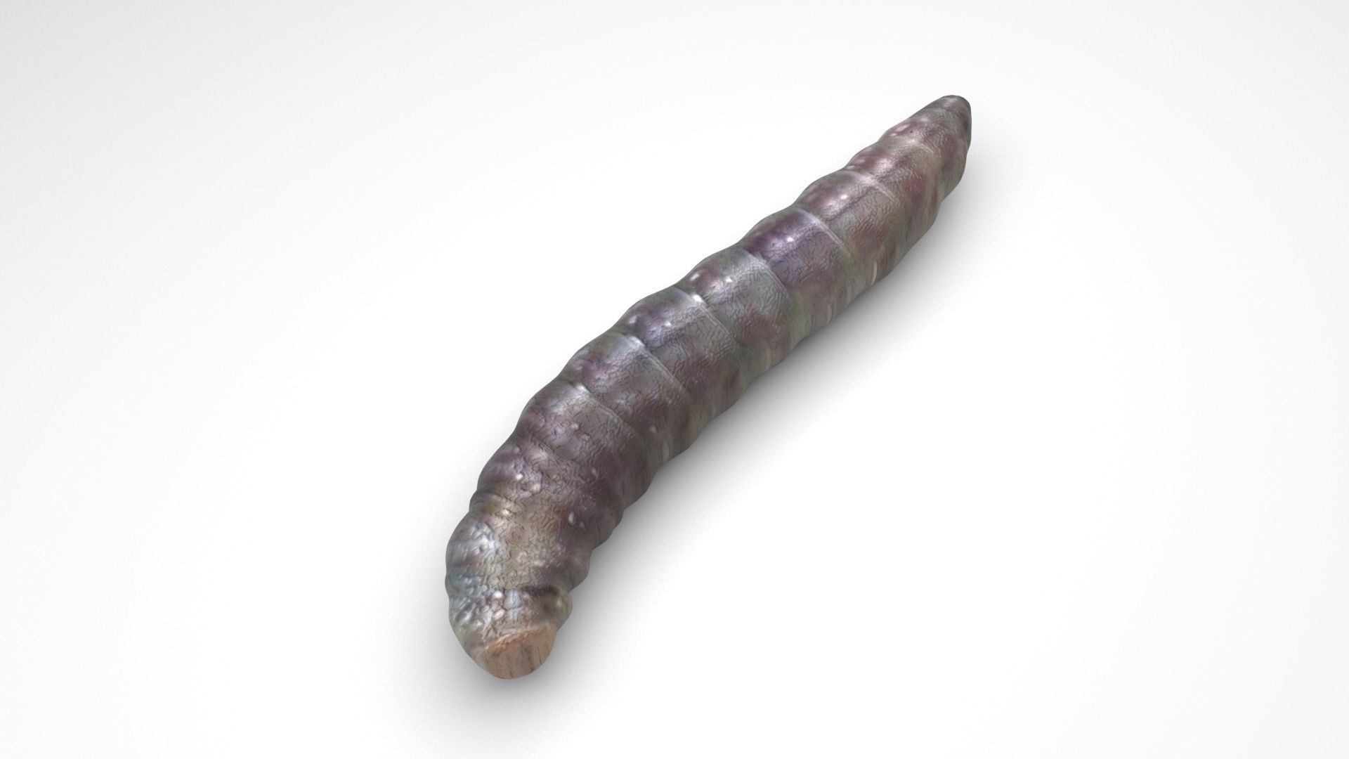 Worms Set 3D model_31