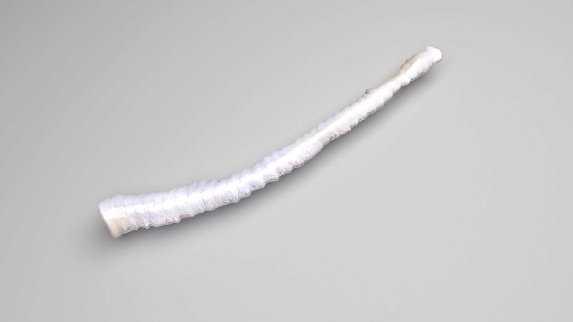 Worms Set 3D model_35