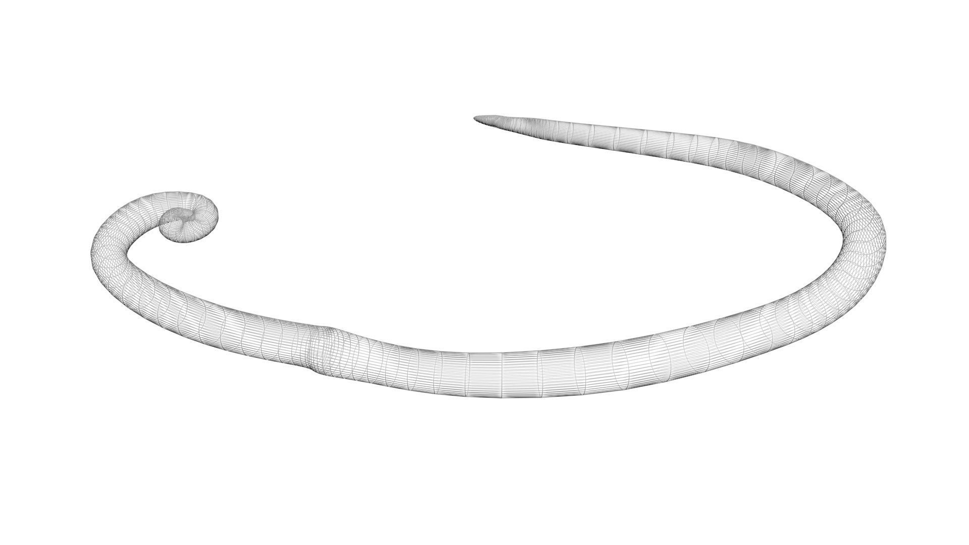 Worms Set 3D model_28