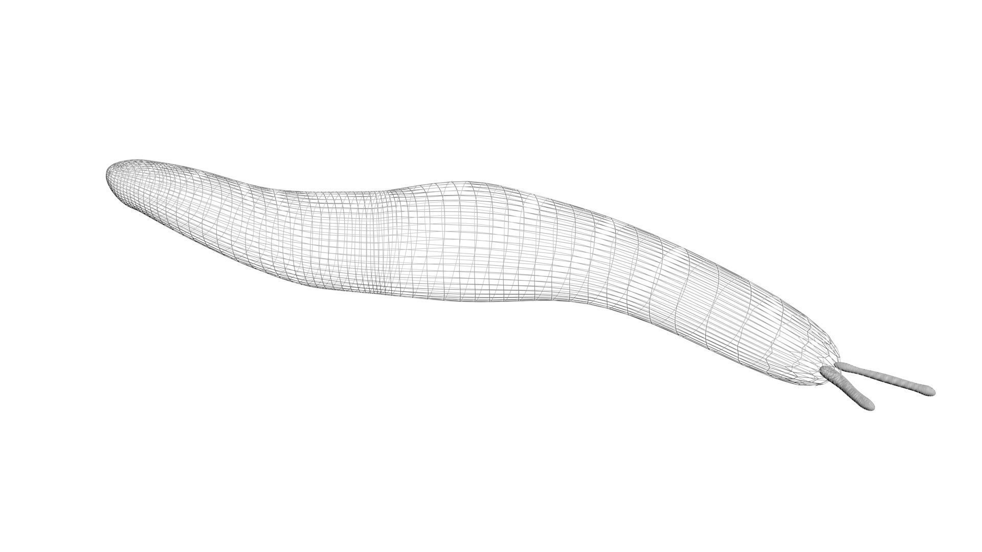 Worms Set 3D model_26