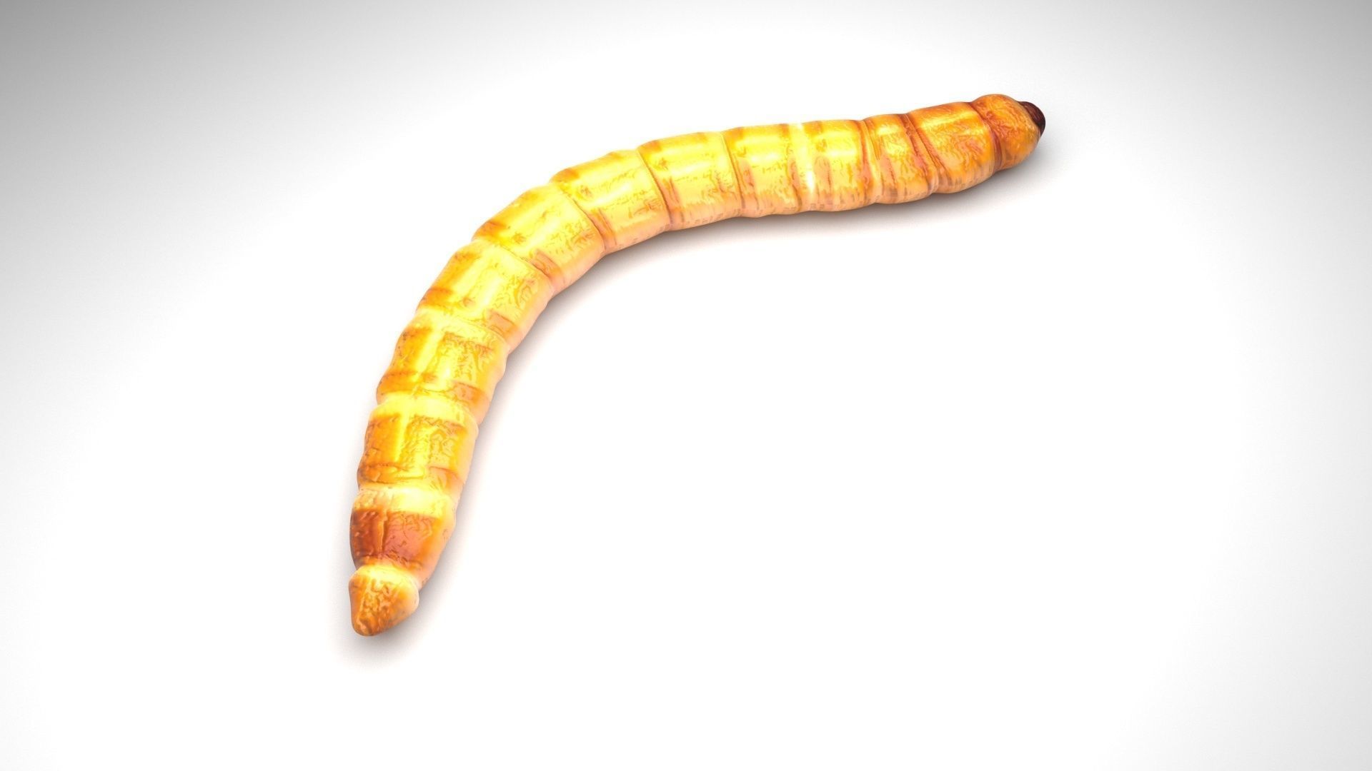 Worms Set 3D model_23