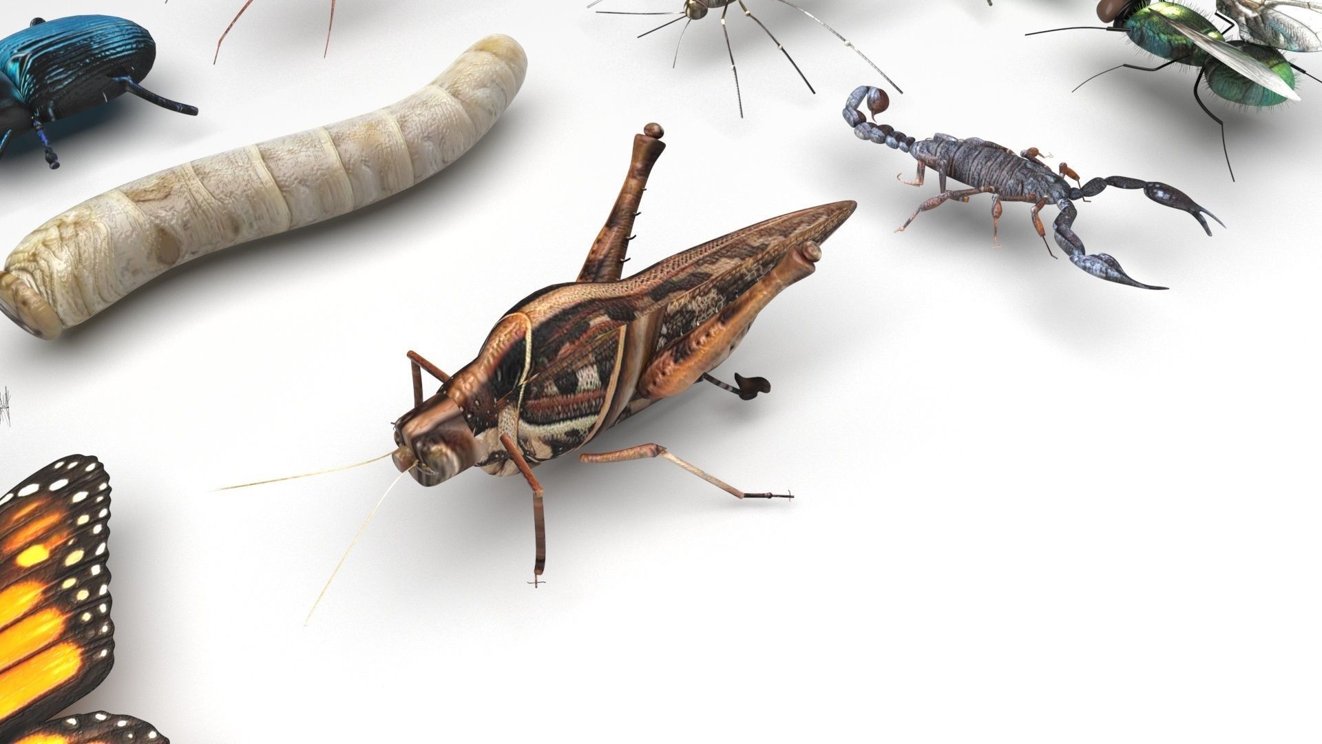 Worms Set 3D model_2