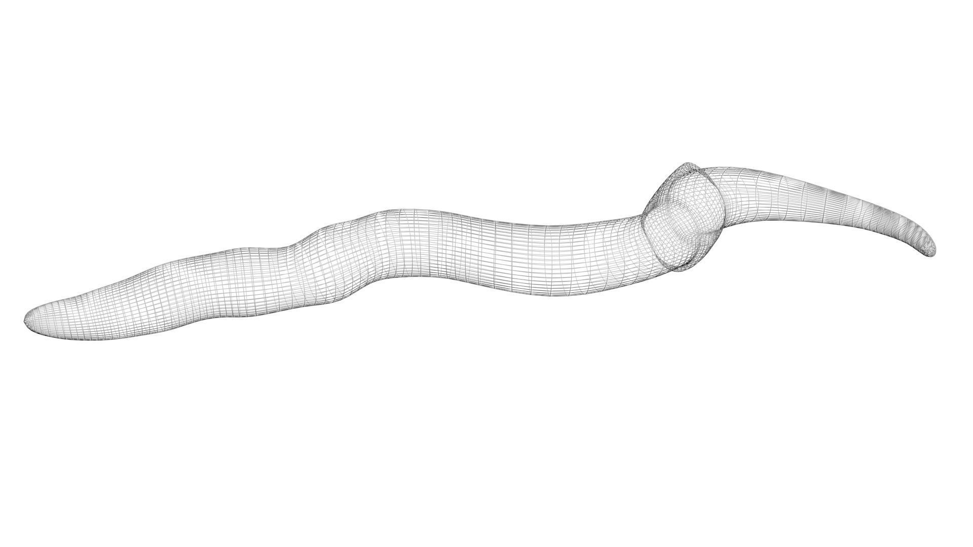 Worms Set 3D model_14