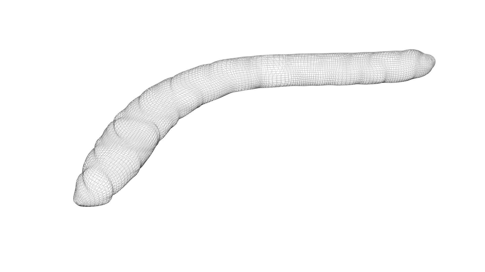 Worms Set 3D model_24