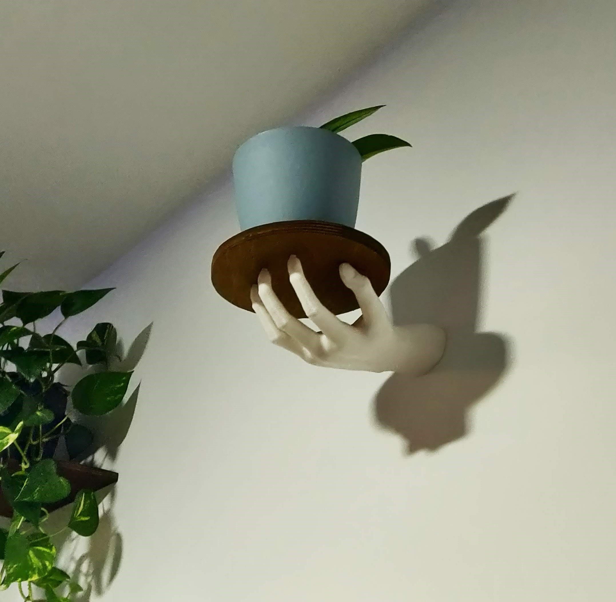 HAND SHELF 3D print model_1